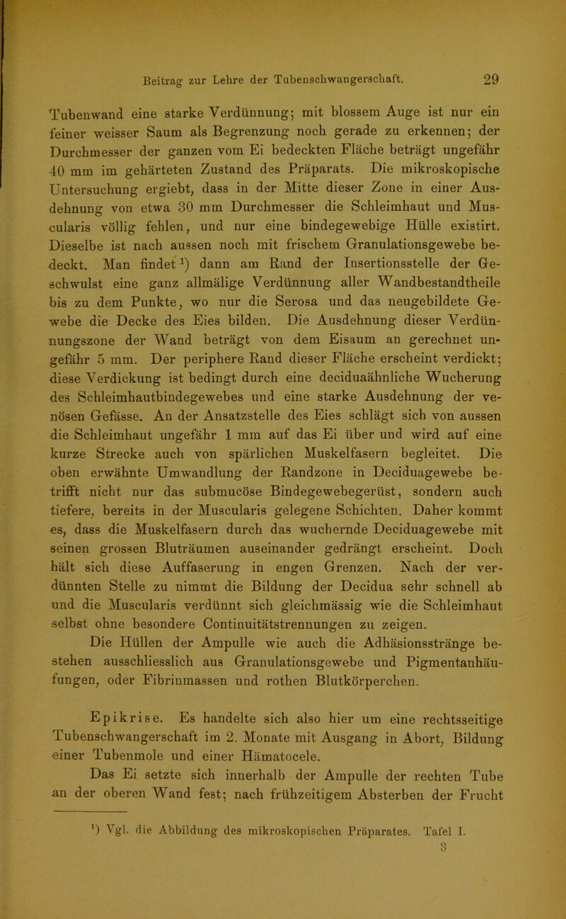 Tubenwand eine starke Verdünnung; mit blossem Auge ist nur ein feiner weisser Saum als Begrenzung noch gerade zu erkennen; der Durchmesser der ganzen vom Ei bedeckten Fläche beträgt ungefähr 40 mm im gehärteten Zustand des Präparats. Die mikroskopische Untersuchung ergiebt, dass in der Mitte dieser Zone in einer Aus- dehnung von etwa 30 mm Durchmesser die Schleimhaut und Mus- cularis völlig fehlen, und nur eine bindegewebige Hülle existirt. Dieselbe ist nach aussen noch mit frischem Granulationsgewebe be- deckt. Man findet*) dann am Rand der Insertionsstelle der Ge- schwulst eine ganz allmälige Verdünnung aller Wandbestandtheile bis zu dem Punkte, wo nur die Serosa und das neugebildete Ge- webe die Decke des Eies bilden. Die Ausdehnung dieser Verdün- nungszone der Wand beträgt von dem Eisaum an gerechnet un- gefähr 5 mm. Der periphere Rand dieser Fläche erscheint verdickt; diese Verdickung ist bedingt durch eine deciduaähnliche Wucherung des Schleimhautbindegewebes und eine starke Ausdehnung der ve- nösen Gefässe. An der Ansatzstelle des Eies schlägt sich von aussen die Schleimhaut ungefähr 1 mm auf das Ei über und wird auf eine kurze Strecke auch von spärlichen Muskelfasern begleitet. Die oben erwähnte Umwandlung der Randzone in Deciduagewebe be- trifft nicht nur das submucöse Bindegewebegerüst, sondern auch tiefere, bereits in der Muscularis gelegene Schichten. Daher kommt es, dass die Muskelfasern durch das wuchernde Deciduagewebe mit seinen grossen Bluträumen auseinander gedrängt erscheint. Doch hält sich diese Auffaserung in engen Grenzen. Nach der ver- dünnten Stelle zu nimmt die Bildung der Decidua sehr schnell ab und die Muscularis verdünnt sich gleiehmässig wie die Schleimhaut selbst ohne besondere Continuitätstrennungen zu zeigen. Die Hüllen der Ampulle wie auch die Adhäsionsstränge be- stehen ausschliesslich aus Granulationsgewebe und Pigmentanhäu- fungen, oder Fibrinmassen und rothen Blutkörperchen. Epikrise. Es handelte sich also hier um eine rechtsseitige Tubenschwangerschaft im 2. Monate mit Ausgang in Abort, Bildung einer Tubenmole und einer Hämatocele. Das Ei setzte sich innerhalb der Ampulle der rechten Tube an der oberen Wand fest; nach frühzeitigem Absterben der Frucht ') Vgl. die Abbildung des mikroskopischen Präparates. Tafel I. 3
