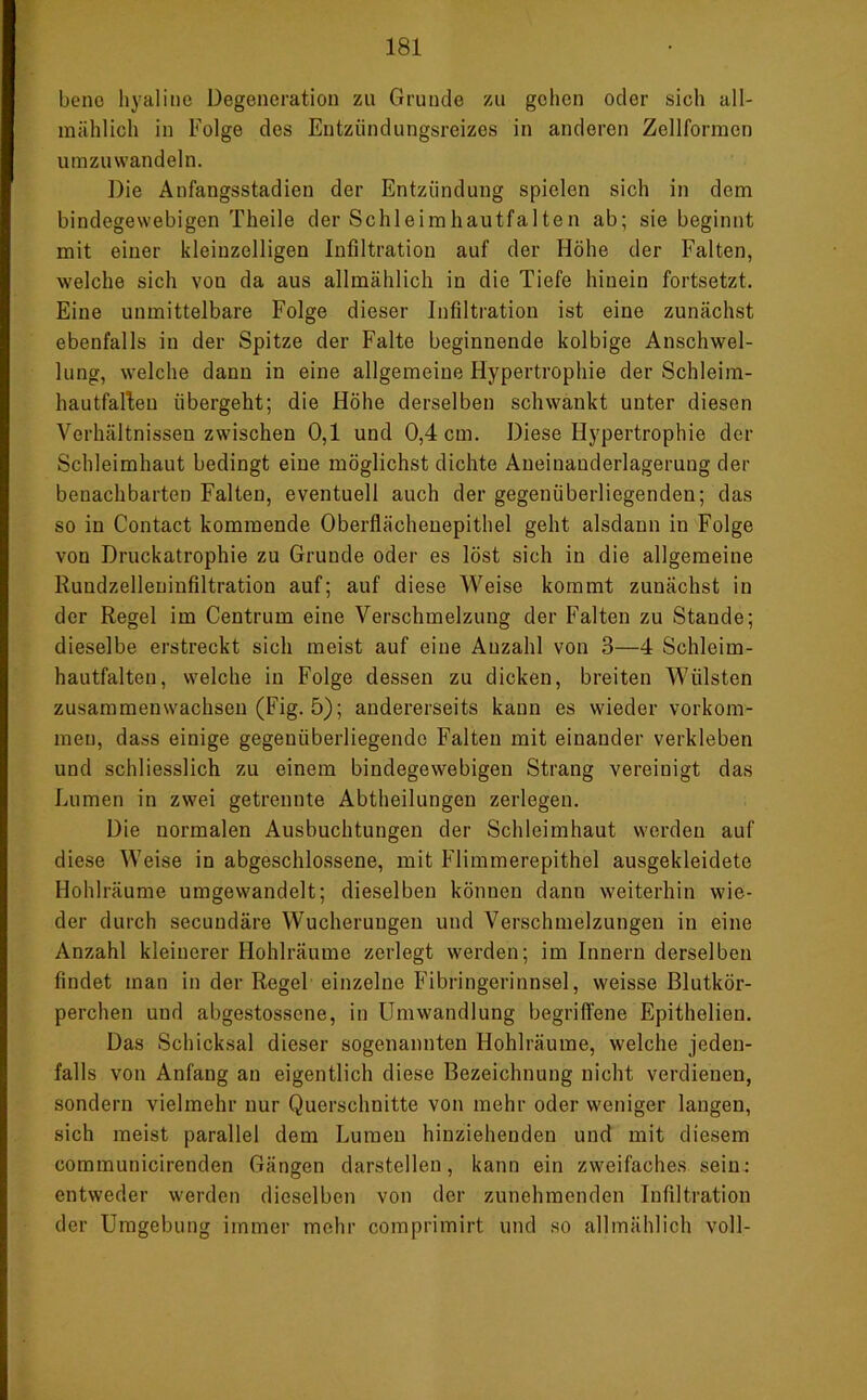 beno hyaline Degeneration zu Grunde zu gehen oder sich all- mählich in Folge des Entzündungsreizes in anderen Zellformen umzuwandeln. Die Anfangsstadien der Entzündung spielen sich in dem bindegewebigen Theile der Schleimhautfalten ab; sie beginnt mit einer kleinzelligen Infiltration auf der Höhe der Falten, welche sich von da aus allmählich in die Tiefe hinein fortsetzt. Eine unmittelbare Folge dieser Infiltration ist eine zunächst ebenfalls in der Spitze der Falte beginnende kolbige Anschwel- lung, welche dann in eine allgemeine Hypertrophie der Schleim- hautfafteu übergeht; die Höhe derselben schwankt unter diesen Verhältnissen zwischen 0,1 und 0,4 cm. Diese Hypertrophie der Schleimhaut bedingt eine möglichst dichte Aneiuanderlagerung der benachbarten Falten, eventuell auch der gegenüberliegenden; das so in Contact kommende Oberflächenepithel geht alsdann in Folge von Druckatrophie zu Grunde oder es löst sich in die allgemeine Rundzelleninfiltration auf; auf diese Weise kommt zunächst in der Regel im Centrum eine Verschmelzung der Falten zu Stande; dieselbe erstreckt sich meist auf eine Anzahl von 3—4 Schleim- hautfalten, welche in Folge dessen zu dicken, breiten Wülsten zusammenwachsen (Fig. 5); andererseits kann es wieder Vorkom- men, dass einige gegenüberliegende Falten mit einander verkleben und schliesslich zu einem bindegewebigen Strang vereinigt das Lumen in zwei getrennte Abtheilungen zerlegen. Die normalen Ausbuchtungen der Schleimhaut werden auf diese Weise in abgeschlossene, mit Flimmerepithel ausgekleidete Hohlräume umgewandelt; dieselben können dann weiterhin wie- der durch secundäre Wucherungen und Verschmelzungen in eine Anzahl kleinerer Hohlräume zerlegt werden; im Innern derselben findet man in der Regel einzelne Fibringerinnsel, weisse Blutkör- perchen und abgestossene, in Umwandlung begriffene Epithelien. Das Schicksal dieser sogenannten Hohlräume, welche jeden- falls von Anfang an eigentlich diese Bezeichnung nicht verdienen, sondern vielmehr nur Querschnitte von mehr oder weniger langen, sich meist parallel dem Lumen hinziehenden und mit diesem communicirenden Gängen darstelleu, kann ein zweifaches sein: entweder werden dieselben von der zunehmenden Infiltration der Umgebung immer mehr comprimirt und so allmählich voll-