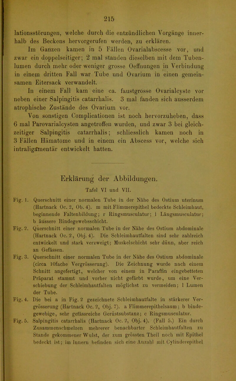 lationsstörungen, welche durch die entzündlichen Vorgänge inner- halb des Beckens hervorgerufen werden, zu erklären. Im Ganzen kamen in 5 Fällen Ovarialabscesse vor, und zwar ein doppelseitiger; 2 mal standen dieselben mit dem Tuben- lumen durch mehr oder weniger grosse Oeffnungen in Verbindung in einem dritten Fall war Tube und Ovarium in einen gemein- samen Eitersack verwandelt. In einem Fall kam eine ca. faustgrosse Ovarialcyste vor neben einer Salpingitis catarrhalis. 3 mal fanden sich ausserdem atrophische Zustände des Ovarium vor. Von sonstigen Complicationen ist noch hervorzuheben, dass 6 mal Parovarialcysten angetroffen wurden, und zwar 3 bei gleich- zeitiger Salpingitis catarrhalis; schliesslich kamen noch in 3 Fällen Hämatome und in einem ein Abscess vor, welche sich intraligamentär entwickelt hatten. Erklärung der Abbildungen. Tafel VI und VII. Fig. 1. Querschnitt einer normalen Tube in der Nähe des Ostiuin uterinuni (Hartnack Oc. 2, Ob. 4). in mit Flimmerepithel bedeckte Schleimhaut, beginnende Faltenbildung; r Ringsmusculatur; 1 Längsmusculatur; b äussere Bindegewebsschicht. Fig. 2. Querschnitt einer normalen Tube in der Nähe des Ostium abdominale (Hartnack Oc. 2, Obj. 4). Die Schleimhautfalten sind sehr zahlreich entwickelt und stark verzweigt; Muskelschicht sehr dünn, aber reich an Gefässen. Fig. 3. Querschnitt einer normalen Tube in der Nähe des Ostium abdominale (circa lOfache Vergrösserung). Die Zeichnung wurde nach einem Schnitt angefertigt, welcher von einem in Paraffin eingebetteten Präparat stammt und vorher nicht gefärbt wunde, um eine Ver- schiebung der Schleimhautfalten möglichst zu vermeiden; 1 Lumen der Tube. Fig. 4. Die bei a in Fig. 2 gezeichnete Schleimhautfalte in stärkerer Ver- grösserung (Hartnack Oc. 2, Obj. 7). a Flimraerepilhelsaum; b binde- gewebige, sehr gefässreiche Geriistsubstanz; c Ringsmusculatur. Fig. 5. Salpingitis catarrhalis (Hartnack Oc. 2, Obj. 4). (Fall 5.) Ein durch Zusaramenschmelzen mehrerer benachbarter Schleimhautfalten zu Stande gekommener Wulst, der zum grössten Theil noch mit Epithel bedeckt ist; im Innern befinden sich eine Anzahl mit Oylinderepithel