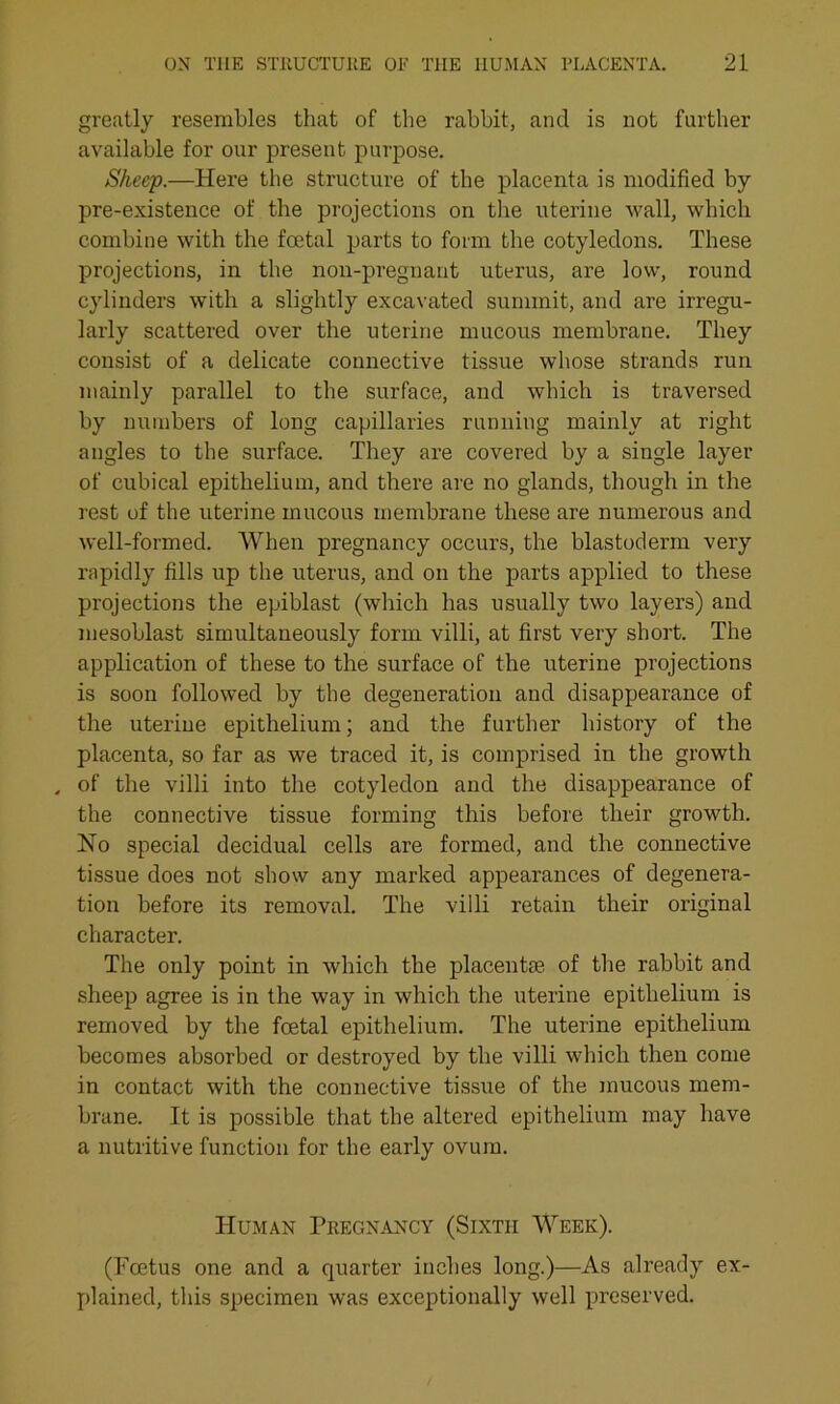 greatly resembles that of the rabbit, and is not further available for our present purpose. Sheep.—Here the structure of the placenta is modified by pre-existence of the projections on the uterine wall, which combine with the foetal parts to form the cotyledons. These projections, in the non-pregnant uterus, are low, round cylinders with a slightly excavated summit, and are irregu- larly scattered over the uterine mucous membrane. They consist of a delicate connective tissue whose strands run mainly parallel to the surface, and which is traversed by numbers of long capillaries running mainly at right angles to the surface. They are covered by a single layer of cubical epithelium, and there are no glands, though in the rest of the uterine mucous membrane these are numerous and well-formed. When pregnancy occurs, the blastoderm very rapidly fills up the uterus, and on the parts applied to these projections the epiblast (which has usually two layers) and mesoblast simultaneously form villi, at first very short. The application of these to the surface of the uterine projections is soon followed by the degeneration and disappearance of the uterine epithelium; and the further history of the placenta, so far as we traced it, is comprised in the growth , of the villi into the cotyledon and the disappearance of the connective tissue forming this before their growth. No special decidual cells are formed, and the connective tissue does not show any marked appearances of degenera- tion before its removal. The villi retain their original character. The only point in which the placentae of the rabbit and sheep agree is in the way in which the uterine epithelium is removed by the foetal epithelium. The uterine epithelium becomes absorbed or destroyed by the villi which then come in contact with the connective tissue of the mucous mem- brane. It is possible that the altered epithelium may have a nutritive function for the early ovum. Human Pregnancy (Sixth Week). (Foetus one and a quarter inches long.)—As already ex- plained, this specimen was exceptionally well preserved.