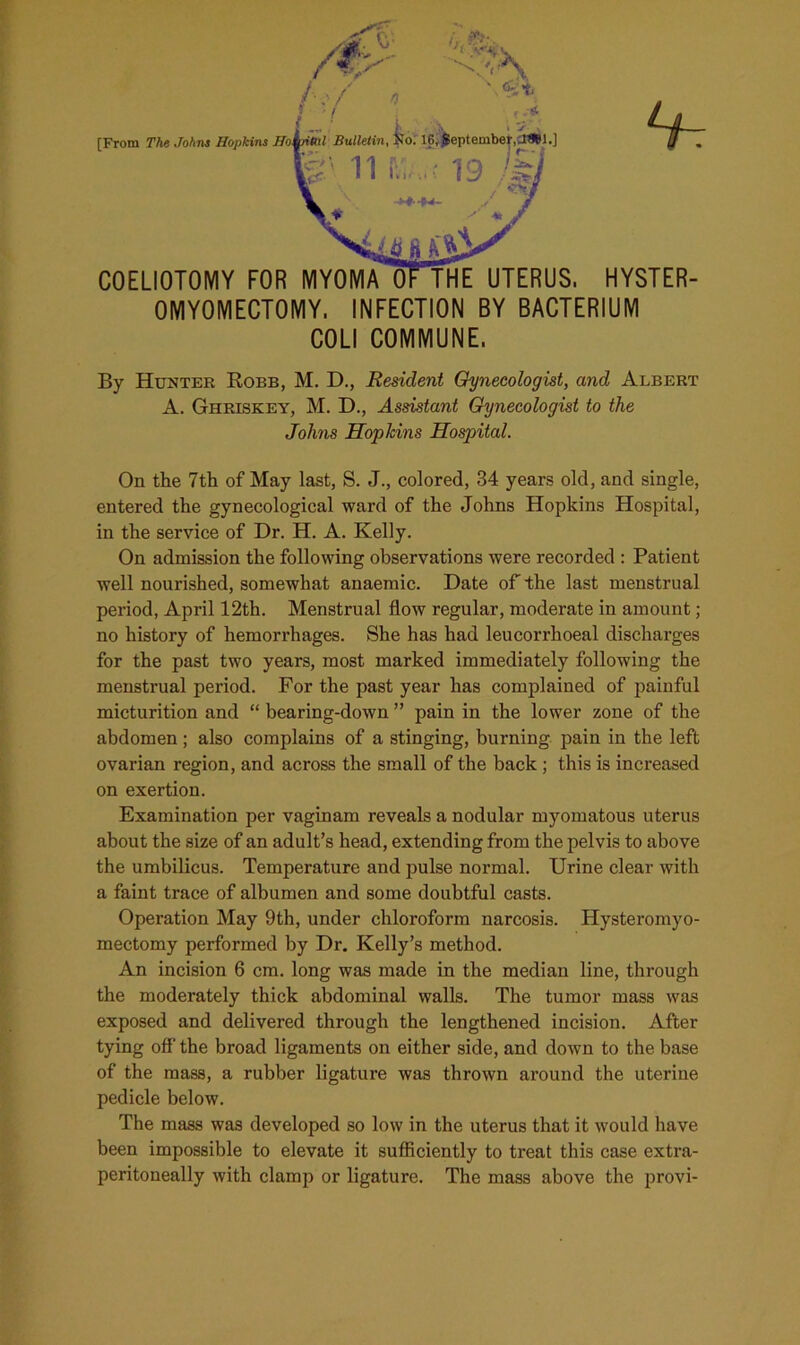 OMYOMECTOMY, INFECTION BY BACTERIUM COLI COMMUNE. By Hunter Robb, M. D., Resident Gynecologist, and Albert A. Ghriskey, M. D., Assistant Gynecologist to the Johns Hoplcins Hospital. On the 7th of May last, S. J., colored, 34 years old, and single, entered the gynecological ward of the Johns Hopkins Hospital, in the service of Dr. H. A. Kelly. On admission the following observations were recorded : Patient well nourished, somewhat anaemic. Date of the last menstrual period, April 12tli. Menstrual flow regular, moderate in amount; no history of hemorrhages. She has had leucorrhoeal discharges for the past two years, most marked immediately following the menstrual period. For the past year has complained of painful micturition and “ bearing-down ” pain in the lower zone of the abdomen; also complains of a stinging, burning pain in the left ovarian region, and across the small of the back ; this is increased on exertion. Examination per vaginam reveals a nodular myomatous uterus about the size of an adult’s head, extending from the pelvis to above the umbilicus. Temperature and pulse normal. Urine clear with a faint trace of albumen and some doubtful casts. Operation May 9th, under chloroform narcosis. Hysteromyo- mectomy performed by Dr. Kelly’s method. An incision 6 cm. long was made in the median line, through the moderately thick abdominal walls. The tumor mass was exposed and delivered through the lengthened incision. After tying off the broad ligaments on either side, and down to the base of the mass, a rubber ligature was thrown around the uterine pedicle below. The mass was developed so low in the uterus that it would have been impossible to elevate it sufficiently to treat this case extra- peritoneally with clamp or ligature. The mass above the provi-