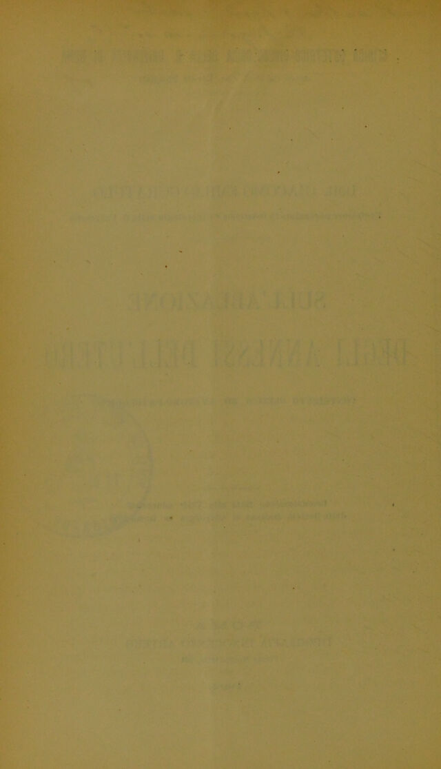 digitised image 2