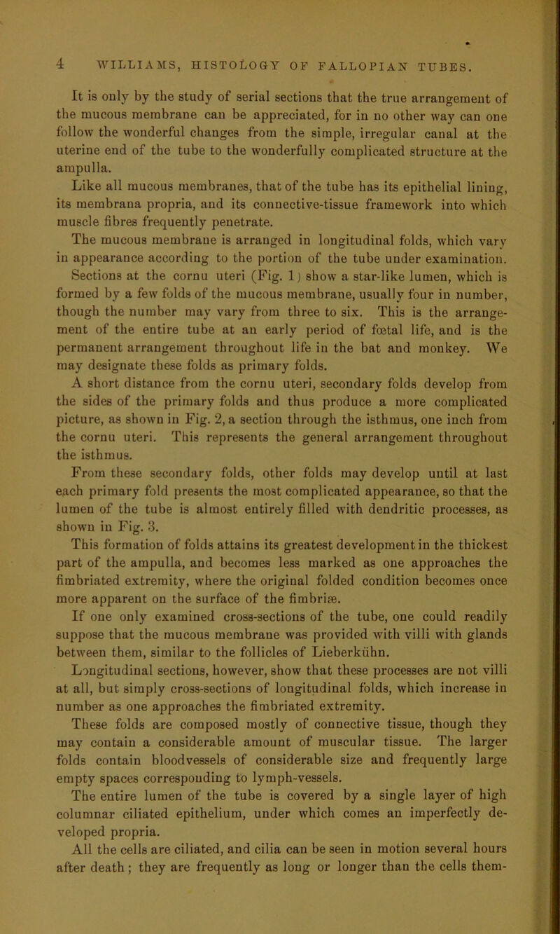 It is only by the study of serial sections that the true arrangement of the mucous membrane can be appreciated, for in no other way can one follow the wonderful changes from the simple, irregular canal at the uterine end of the tube to the wonderfully complicated structure at the ampulla. Like all mucous membranes, that of the tube has its epithelial lining, its membrana propria, and its connective-tissue framework into which muscle fibres frequently penetrate. The mucous membrane is arranged in longitudinal folds, which van- in appearance according to the portion of the tube under examination. Sections at the cornu uteri (Fig. 1) show a star-like lumen, which is formed by a few folds of the mucous membrane, usually four iu number, though the number may vary from three to six. This is the arrange- ment of the entire tube at an early period of foetal life, and is the permanent arrangement throughout life iu the bat and monkey. We may designate these folds as primary folds. A short distance from the cornu uteri, secondary folds develop from the sides of the primary folds and thus produce a more complicated picture, as shown in Fig. 2, a section through the isthmus, one inch from the cornu uteri. This represents the general arrangement throughout the isthmus. From these secondary folds, other folds may develop until at last each primary fold presents the most complicated appearance, so that the lumen of the tube is almost entirely filled with dendritic processes, as shown in Fig. 3. This formation of folds attains its greatest development in the thickest part of the ampulla, and becomes less marked as one approaches the fimbriated extremity, where the original folded condition becomes once more apparent on the surface of the fimbriee. If one only examined cross-sections of the tube, one could readily suppose that the mucous membrane was provided with villi with glands between them, similar to the follicles of Lieberkiihn. Longitudinal sections, however, show that these processes are not villi at all, but simply cross-sections of longitudinal folds, which increase iu number as one approaches the fimbriated extremity. These folds are composed mostly of connective tissue, though they may contain a considerable amount of muscular tissue. The larger folds contain bloodvessels of considerable size and frequently large empty spaces corresponding to lymph-vessels. The entire lumen of the tube is covered by a single layer of high columnar ciliated epithelium, under which comes an imperfectly de- veloped propria. All the cells are ciliated, and cilia can be seen in motion several hours after death; they are frequently as long or longer than the cells them-