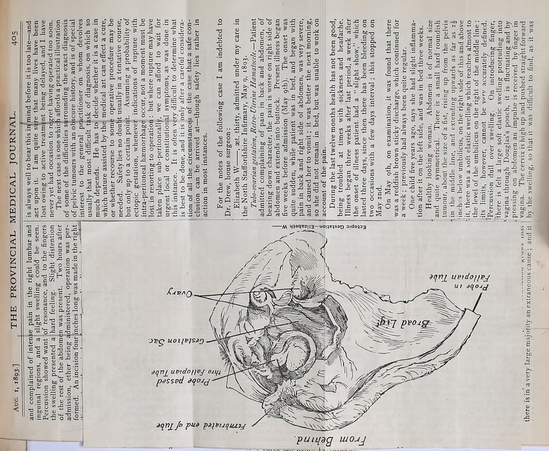 4) <1> O to «5 S S-a S o'“ «’Sr u S S I CO > 4) fc- •— flj rt a, y 4J 5^ 73 o 2 -c u S T3 ho .O c V = «J 2P 4-. .5 nJ ^ *0 _ f« <L> j= Jr c '4U^J — ” ® _C CO ' ? ^3^ 5: «3 o 4J .2 S =--(S| 4-. C — O 03 I- ^ n ? 1> t; .2 --0 - - ^ bo ' *“ •- fc: ™ ^ « OJ (D cc •- S .2 o >> D ti c 2; r: ■-' o 3 Cl. 3 ‘.S _jj ■15 c o o u -3 *0 c -2 nJ nJ 4s 4> -D V- o 3) r? O D-_^ g •5 35 iE T3 •| S ho CO i2 2 « « 3 3 (U O .20 ■ EE n: §0 > g’-S «-2 *D U ■ nj 13 .2 ^ £ o >.§1 O = o 5 a. ^ ^ fu S ^ ° S3 2 >H “ 5 O -u 3 ^ 2* rt > CO >N ■“ _ _ ■3 J! = -=-fiE & II 2 y ■ „ a <u u , (8 — ‘J c J= nJ O ^ 2 o'^ g I 3 bo- — • ^ 3> » E E a < a S 3 *r i o ^ 4t — E bo « J= o <5C ? bo O T3 *— H - c/3 c.a , O 4) I ■ — XJ I ccj ccJ S3 E' a. cn *50 3 . - « C . 4J O 3 . .0;r:(UhoO - “-3 a c s-?, M P <j - c-a = 4^ w 2 5 -c s -a i . • Sc i 3 -o .5 '*■ ■ S ^ ^ 0) c “'tJ = «-0 O' •us'ss^s^e s-::^.s. i'-ls o ?! 2 ” s O S’s ::-a E rt .£ fii-5 o rt ^2 i \ypg uoiiPjs^Q 43 bo ho«= .E 3 .£ TJ rt ^ Of? . Ml 4. JD ti£ 'O o 3 _c J: P ^ eo^-E 3_£-<U-- c£ o ^ «rt ■—4) i ^ ^ -ri X *3 CO IJ « 3 ^O .« X O > .2 .2 o.^ “ . O X3 S U X 42 c ”0 2 3 n. « -S o g-g-g = 13 0-.5 ^ ^ X X .■ rt 4J 5 15 5 -2 -o CO -c rt n „ 2 o 'O * CO C ^ w 4) ^ 43 a, .« — . J O-X P bo o rt 03 X X f5 hi a bo° 0. W.. O o faO u. r< S TTC g-O « ^ CO c ^2 60 2 o *o o c 2 o ^ > 03 bo _ « 2 .£ 03 » 43 C CO C X p u. ■— CO ^ 43 bo 43 bo <15 r? rt »- ca : 3idop3 u^fdofiPj ui ^<10 JJ liqvj uptdofiej ojqi passed aqojj aqnj^ Jo pua paqeuquzy putqdg ulojj 1