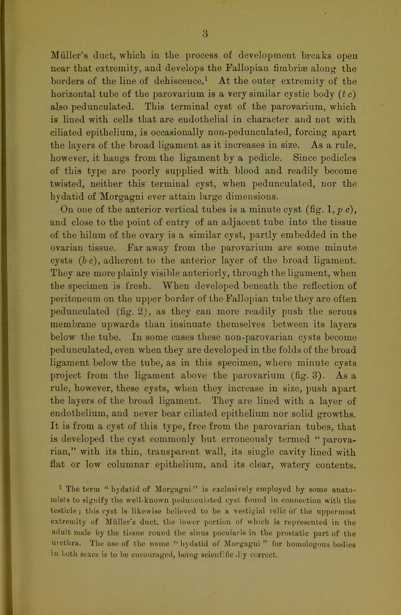 Muller’s duct, which in the process of development breaks open near that extremity, and develops the Fallopian fimbriae along the borders of the line of dehiscence.1 At the outer extremity of the horizontal tube of the parovarium is a very similar cystic body (t c) also pedunculated. This terminal cyst of the parovarium, which is lined with cells that are endothelial in character and not with ciliated epithelium, is occasionally non-pedunculated, forcing apart the layers of the broad ligament as it increases in size. As a rule, however, it hangs from the ligament by a pedicle. Since pedicles of this type are poorly supplied with blood and readily become twisted, neither this' terminal cyst, when pedunculated, nor the hydatid of Morgagni ever attain large dimensions. On one of the anterior vertical tubes is a minute cyst (fig. l,y> c), and close to the point of entry of an adjacent tube into the tissue of the hilum of the ovary is a similar cyst, partly embedded in the ovarian tissue. Far away from the parovarium are some minute cysts (b c), adherent to the anterior layer of the broad ligament. They are more plainly visible anteriorly, through the ligament, when the specimen is fresh. When developed beneath the reflection of peritoneum on the upper border of the Fallopian tube they are often pedunculated (fig. 2), as they can more readily push the serous membrane upwards than insinuate themselves between its layers below the tube. In some cases these nou-parovarian cysts become pedunculated, even when they are developed in the folds of the broad ligament below the tube, as in this specimen, where minute cysts project from the ligament above the parovarium (fig. 3). As a rule, however, these cysts, when they increase in size, push apart the layers of the broad ligament. They are lined with a layer of endothelium, and never bear ciliated epithelium nor solid growths. It is from a cyst of this type, free from the parovarian tubes, that is developed the cyst commonly but erroneously termed “ parova- rian,” with its thin, transparent wall, its single cavity lined with flat or low columnar epithelium, and its clear, watery contents. 1 The term “ hydatid of Morgagni” is exclusively employed by some anato- mists to signify the well-known pedunculated cyst found in connection with the testicle; this cyst is likewise believed to be a vestigial relic of the uppermost extremity of Muller's duct, the lower portion of which is represented in the adult male by the tissue round the sinus poeularis in the prostatic part of the urethra. The use of the name “ hydatid of Morgagni ” for homologous bodies in both sexes is to be encouraged, being scientific illy correct.