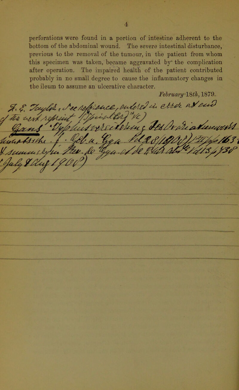 perforations were found in a portion of intestine adherent to the bottom of the abdominal wound. The severe intestinal disturbance, previous to the removal of the tumour, in the patient from whom this specimen was taken, became aggravated by' the complication after operation. The impaired health of the patient contributed probably in no small degree to cause the inflammatory changes in tbe ileum to assume an ulcerative character. February 18th, 1879.