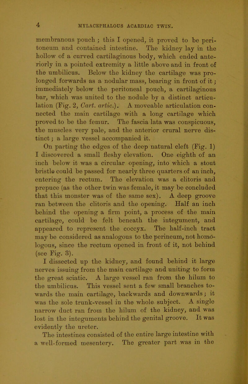 membranous poucb ; tbis I opened, it proved to be peri- toneum and contained intestine. The kidney lay in the hollow of a curved cartilaginous body, which ended ante- riorly in a pointed extremity a little above and in front of the umbilicus. Below the kidney the cartilage was pro- longed forwards as a nodular mass, bearing in front of it; immediately below the peritoneal pouch, a cartilaginous bar, which was united to the nodule by a distinct articu- lation (Fig. 2, Cart, artic.). A moveable articulation con- nected the main cartilage with a long cartilage which proved to be the femur. The fascia lata was conspicuous, the muscles very pale, and the anterior crural nerve dis- tinct ; a large vessel accompanied it. On parting the edges of the deep natural cleft (Fig. 1) I discovered a small fleshy elevation. One eighth of an inch below it was a circular opening, into which a stout bristle could be passed for nearly three quarters of an inch, entering the rectum. The elevation was a clitoris and prepuce (as the other twin was female, it may be concluded that this monster was of the same sex). A deep groove ran between the clitoris and the opening. Half an inch behind the opening a firm point, a process of the main cartilage, could be felt beneath the integument, and appeared to represent the coccyx. The half-inch tract may be considered as analogous to the perineum, not homd- logous, since the rectum opened in front of it, not behind (see Fig. 3). I dissected up the kidney, and found behind it large nerves issuing from the main cartilage and uniting to form the great sciatic. A large vessel ran from the hilum to the umbilicus. This vessel sent a few small branches to- wards the main cartilage, backwards and downwards; it was the sole trunk-vessel iu the whole subject. A single narrow duct ran from the hilum of the kidney, and was lost in the integuments behind the genital groove. It was evidently the ureter. The intestines consisted of the entire large intestine with a well-formed mesentery. The greater part was in the