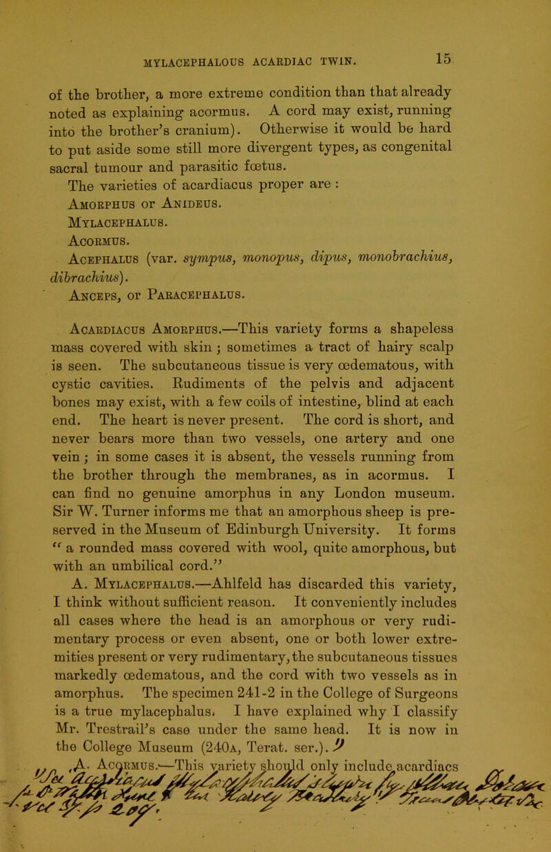 of the brother, a more extreme condition than that already- noted as explaining acormus. A cord may exist, running into the brother’s cranium). Otherwise it would be hard to put aside some still more divergent types, as congenital sacral tumour and parasitic foetus. The varieties of acardiacus proper are : Amoephus or Anideus. Mylacephalus. Acormus. Acephalus (var. sympus, monopus, dipus, monobrachius, dibrachius). Anceps, or Paeacephalus. Acardiacus Ahorphus.—This variety forms a shapeless mass covered with skin ; sometimes a tract of hairy scalp is seen. The subcutaneous tissue is very cedematous, with cystic cavities. Rudiments of the pelvis and adjacent bones may exist, with a few coils of intestine, blind at each end. The heart is never present. The cord is short, and never bears more than two vessels, one artery and one vein ; in some cases it is absent, the vessels running from the brother through the membranes, as in acormus. I can find no genuine amorphus in any London museum. Sir W. Turner informs me that an amorphous sheep is pre- served in the Museum of Edinburgh University. It forms “ a rounded mass covered with wool, quite amorphous, but with an umbilical cord.” A. Mylacephalus.—Ahlfeld has discarded this variety, I think without sufficient reason. It conveniently includes all cases where the head is an amorphous or very rudi- mentary process or even absent, one or both lower extre- mities present or very rudimentary, the subcutaneous tissues markedly cedematous, and the cord with two vessels as in amorphus. The specimen 241-2 in the College of Surgeons is a true mylacephaluSi I have explained why I classify Mr. Trestrail’s case under the same head. It is now in the College Museum (240a, Terat. ser.).^ ... ,A- Acormus.-—This yariety should only include.acardiacs <y& .