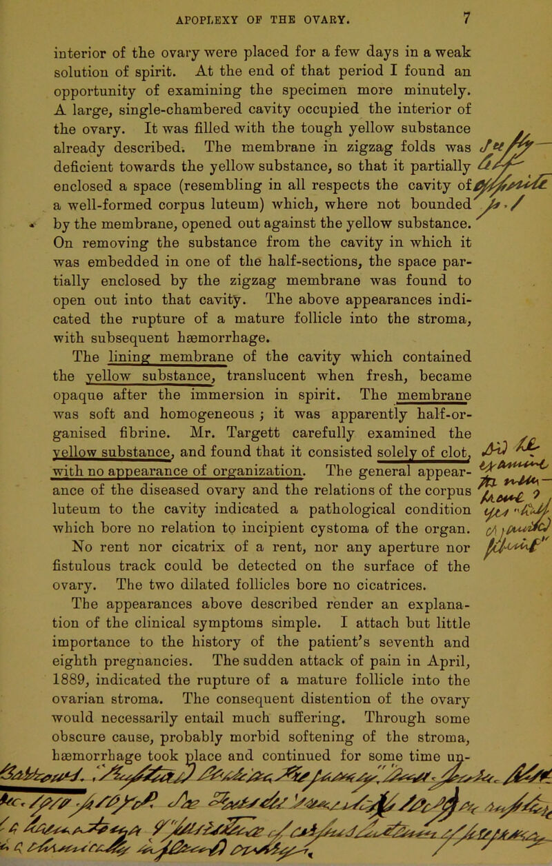 interior of the ovary were placed for a few days in a weak solution of spirit. At the end of that period I found an opportunity of examining the specimen more minutely. A large, single-chambered cavity occupied the interior of the ovary. It was filled with the tough yellow substance already described. The membrane in zigzag folds was J&/ deficient towards the yellow substance, so that it partially enclosed a space (resembling in all respects the cavity a well-formed corpus luteum) which, where not bounded / by the membrane, opened out against the yellow substance. On removing the substance from the cavity in which it was embedded in one of the half-sections, the space par- tially enclosed by the zigzag membrane was found to open out into that cavity. The above appearances indi- cated the rupture of a mature follicle into the stroma, with subsequent haemorrhage. The lining membrane of the cavity which contained the yellow substance, translucent when fresh, became opaque after the immersion in spirit. The membrane t) ^4* was soft and homogeneous ; it was apparently half-or- ganised fibrine. Mr. Targett carefully examined the yellow substance, and found that it consisted solely of clot, with no appearance of organization. The general appear- ance of the diseased ovary and the relations of the corpus 0 luteum to the cavity indicated a pathological condition which bore no relation to incipient cystoma of the organ. cAjput&Cj No rent nor cicatrix of a rent, nor any aperture nor fistulous track could be detected on the surface of the ovary. The two dilated follicles bore no cicatrices. The appearances above described render an explana- tion of the clinical symptoms simple. I attach but little importance to the history of the patient’s seventh and eighth pregnancies. The sudden attack of pain in April, 1889, indicated the rupture of a mature follicle into the ovarian stroma. The consequent distention of the ovary would necessarily entail much suffering. Through some obscure cause, probably morbid softening of the stroma, haemorrhage took place and continued for some time un-