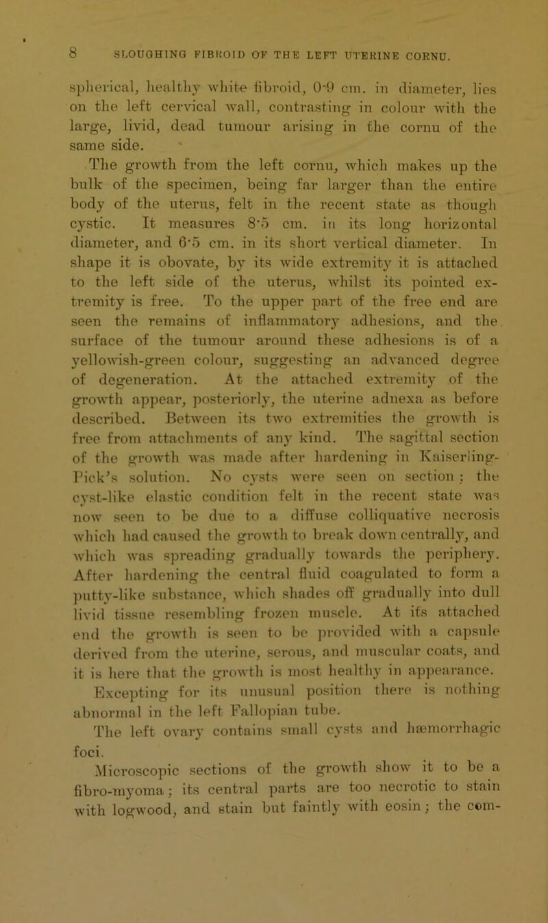 spherical, healthy white fibroid, 09 cm. in diameter, lies on the left cervical wall, contrasting in colour with the large, livid, dead tumour arising in the cornu of the same side. The growth from the left cornu, which makes up the bulk of the specimen, being far larger than the entire body of the uterus, felt in the recent state as though cystic. It measures 8*5 cm. in its long horizontal diameter, and 6”5 cm. in its short vertical diameter. In shape it is obovate, by its wide extremity it is attached to the left side of the uterus, whilst its pointed ex- tremity is free. To the upper part of the free end are seen the remains of inflammatory adhesions, and the surface of the tumour around these adhesions is of a yellowish-green colour, suggesting an advanced degree of degeneration. At the attached extremity of the growth appear, posteriorly, the uterine adnexa as before described. Between its two extremities the growth is free from attachments of any kind. The sagittal section of the growth was made after hardening in Kaiseriing- Pick's solution. No cysts were seen on section : the cyst-like elastic condition felt in the recent state was now seen to be due to a diffuse colliquative necrosis which had caused the growth to break down centrally, and which was spreading gradually towards the periphery. After hardening the central fluid coagulated to form a putty-like substance, which shades off gradually into dull livid tissue resembling frozen muscle. At its attached end the growth is seen to be provided with a capsule derived from the uterine, serous, and muscular coats, and it is here that the growth is most healthy in appearance. Excepting for its unusual position there is nothing abnormal in the left Fallopian tube. The left ovary contains small cysts and haemorrhagic foci. AIicroscopic sections of the growth show it to be a fibro-myoma; its central parts are too necrotic to stain with logwood, and stain but faintly with eosin; the com-