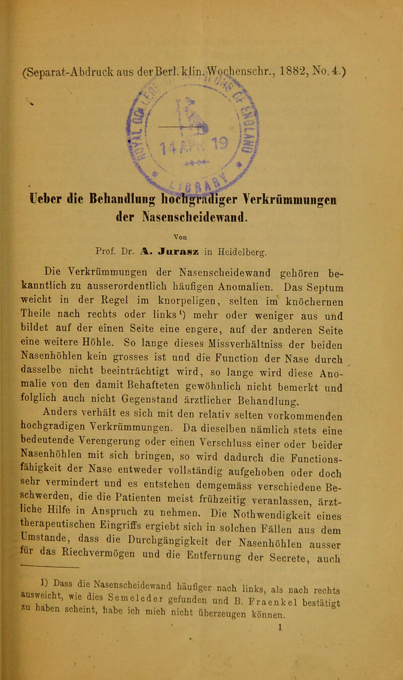(Separat-Ab druck aus der Berk klin. Wocbcnschr., 1882, No. 4.) /< -y &- \ 14b- \-y\ ist! fest * / Heber die Behandlung hochgradiger Verkrümmungen der Nasciischcidcwaud. Von Prof. Dr. A. Jurasz in Heidelberg. Die Verkrümmungen der Nasenscheidewand gehören be- kanntlich zu ausserordentlich häufigen Anomalien. Das Septum weicht in der Regel im knorpeligen, selten im knöchernen Theile nach rechts oder links1) mehr oder weniger aus und bildet auf der einen Seite eine engere, auf der anderen Seite eine weitere Höhle. So lange dieses Missverhältniss der beiden Nasenhöhlen kein grosses ist und die Function der Nase durch dasselbe nicht beeinträchtigt wird, so lange wird diese Ano- malie von den damit Behafteten gewöhnlich nicht bemerkt und folglich auch nicht Gegenstand ärztlicher Behandlung. Anders verhält es sich mit den relativ selten vorkommenden hochgradigen Verkrümmungen. Da dieselben nämlich stets eine bedeutende Verengerung oder einen Verschluss einer oder beider Nasenhöhlen mit sich bringen, so wird dadurch die Functions- fähigkeit der Nase entweder vollständig aufgehoben oder doch sehr vermindert und es entstehen demgemäss verschiedene Be- schwerden, die die Patienten meist frühzeitig veranlassen, ärzt- liche Hilfe in Anspruch zu nehmen. Die Notwendigkeit eines therapeutischen Eingriffs ergiebt sich in solchen Fällen aus dem Umstande, dass die Durchgängigkeit der Nasenhöhlen ausser lur das Riechvermögen und die Entfernung der Secrete, auch 1) Dass die Nasenscheidewand häufiger nach links, als nach rechts weicht, wie dies Sem eie der gefunden und B. Fraenkel bestätigt aben scheint, habe ich mich nicht überzeugen können.