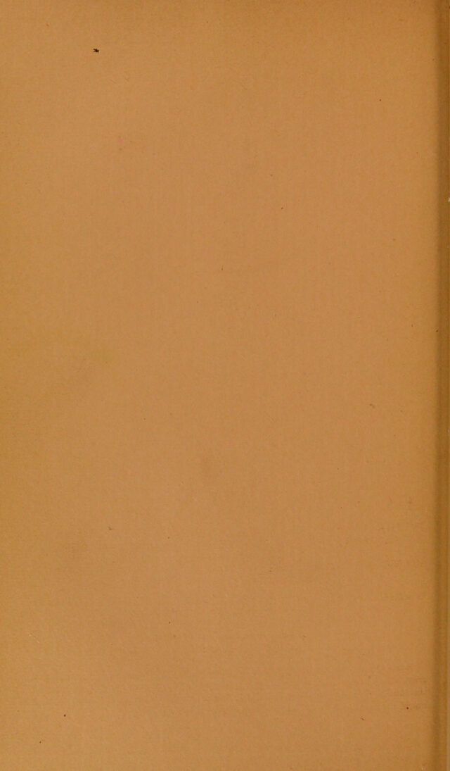 digitised image 2