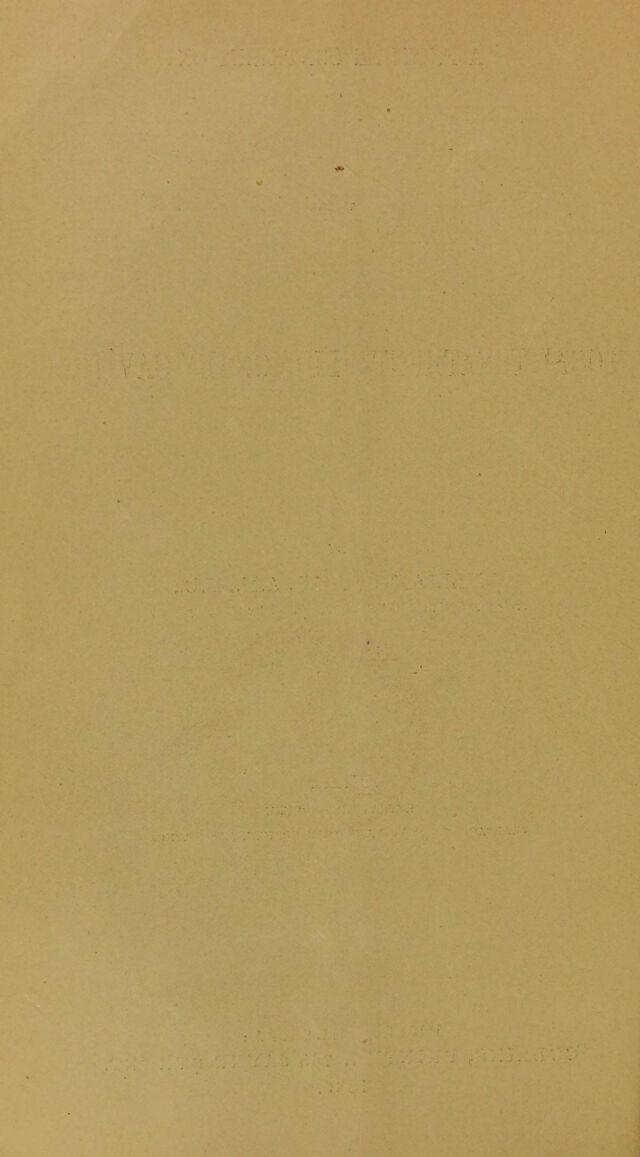 digitised image 2