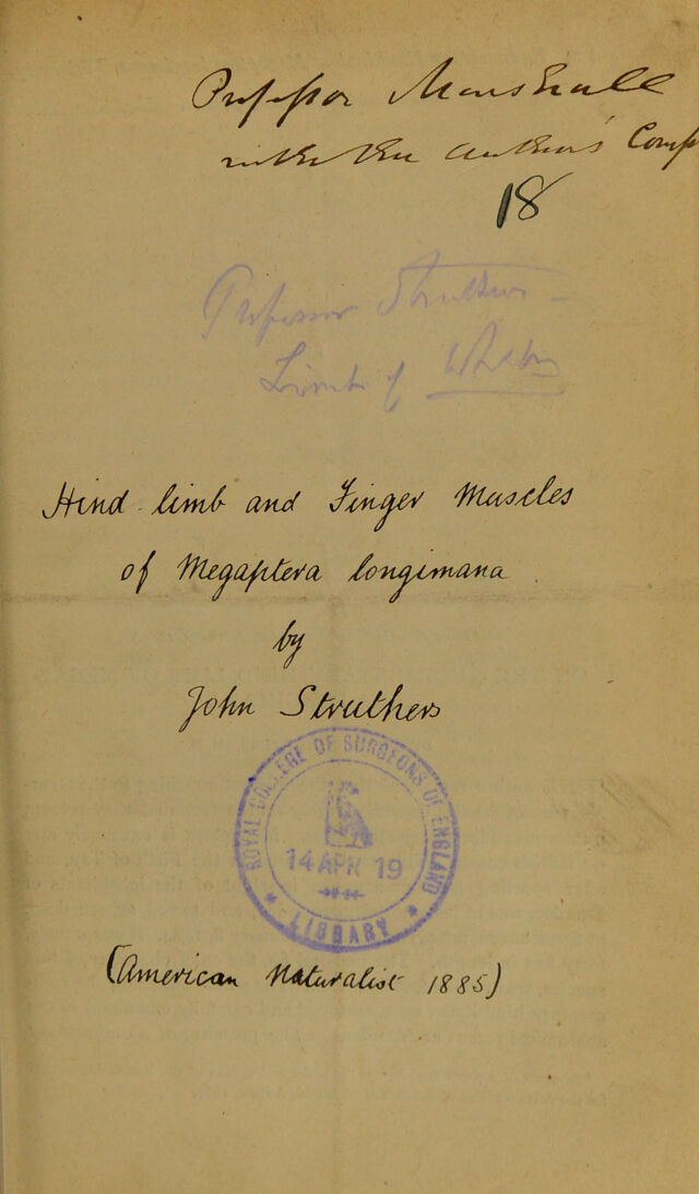 digitised image 1