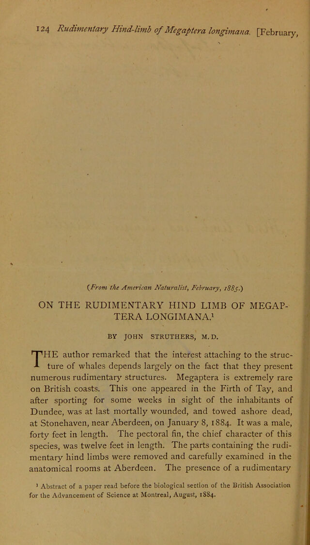 digitised image 2