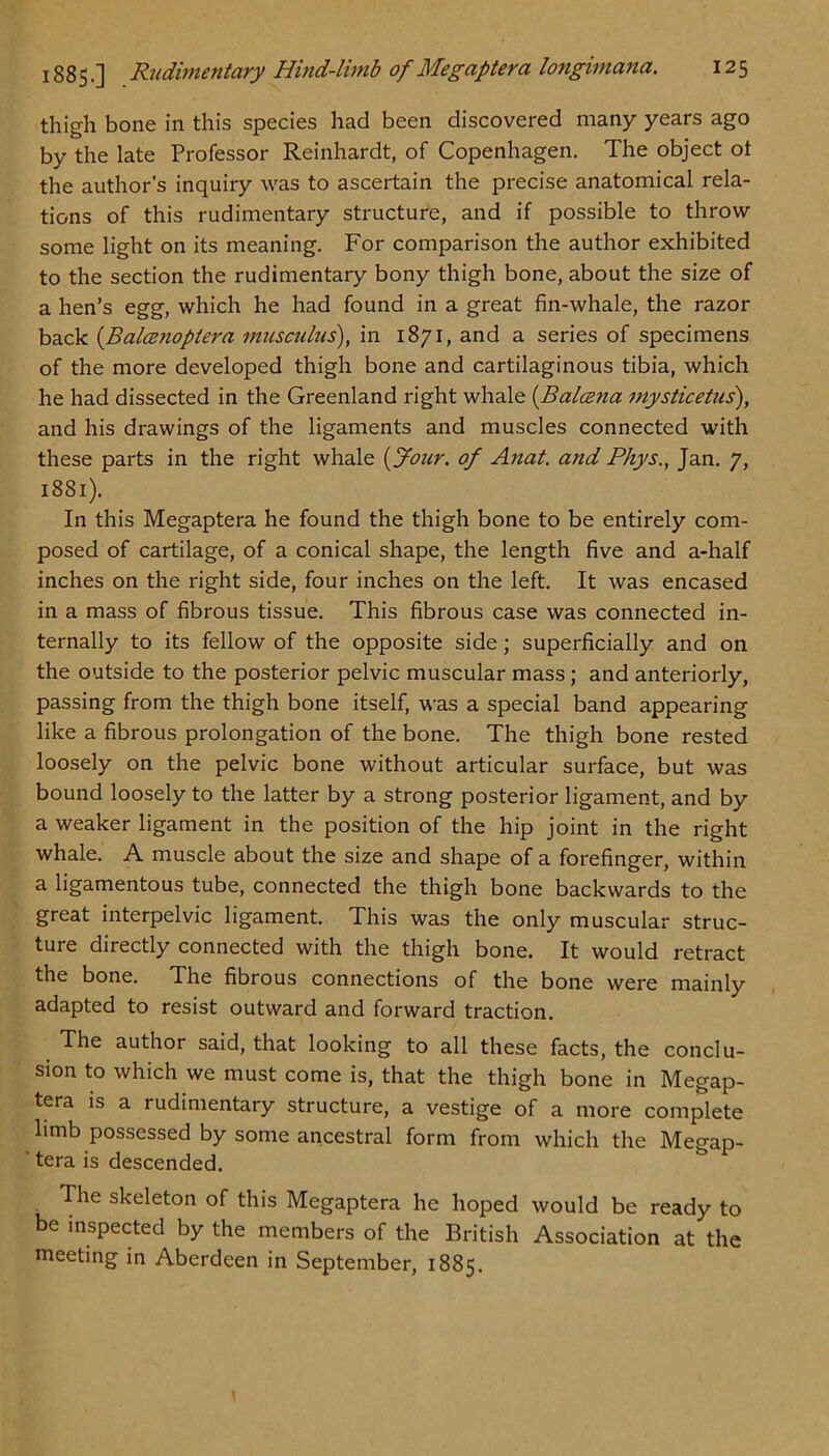 thigh bone in this species had been discovered many years ago by the late Professor Reinhardt, of Copenhagen. The object ot the author’s inquiry was to ascertain the precise anatomical rela- tions of this rudimentary structure, and if possible to throw some light on its meaning. For comparison the author exhibited to the section the rudimentary bony thigh bone, about the size of a hen’s egg, which he had found in a great fin-whale, the razor back (Bahznoptera musculus), in 1871, and a series of specimens of the more developed thigh bone and cartilaginous tibia, which he had dissected in the Greenland right whale (Balcena mysticetus), and his drawings of the ligaments and muscles connected with these parts in the right whale (four, of Anat. and Phys., Jan. 7, 1881). In this Megaptera he found the thigh bone to be entirely com- posed of cartilage, of a conical shape, the length five and a-half inches on the right side, four inches on the left. It was encased in a mass of fibrous tissue. This fibrous case was connected in- ternally to its fellow of the opposite side; superficially and on the outside to the posterior pelvic muscular mass; and anteriorly, passing from the thigh bone itself, was a special band appearing like a fibrous prolongation of the bone. The thigh bone rested loosely on the pelvic bone without articular surface, but was bound loosely to the latter by a strong posterior ligament, and by a weaker ligament in the position of the hip joint in the right whale. A muscle about the size and shape of a forefinger, within a ligamentous tube, connected the thigh bone backwards to the great interpelvic ligament. This was the only muscular struc- ture directly connected with the thigh bone. It would retract the bone. The fibrous connections of the bone were mainly adapted to resist outward and forward traction. The author said, that looking to all these facts, the conclu- sion to which we must come is, that the thigh bone in Megap- tera is a rudimentary structure, a vestige of a more complete limb possessed by some ancestral form from which the Megap- tera is descended. The skeleton of this Megaptera he hoped would be ready to be inspected by the members of the British Association at the meeting in Aberdeen in September, 1885.