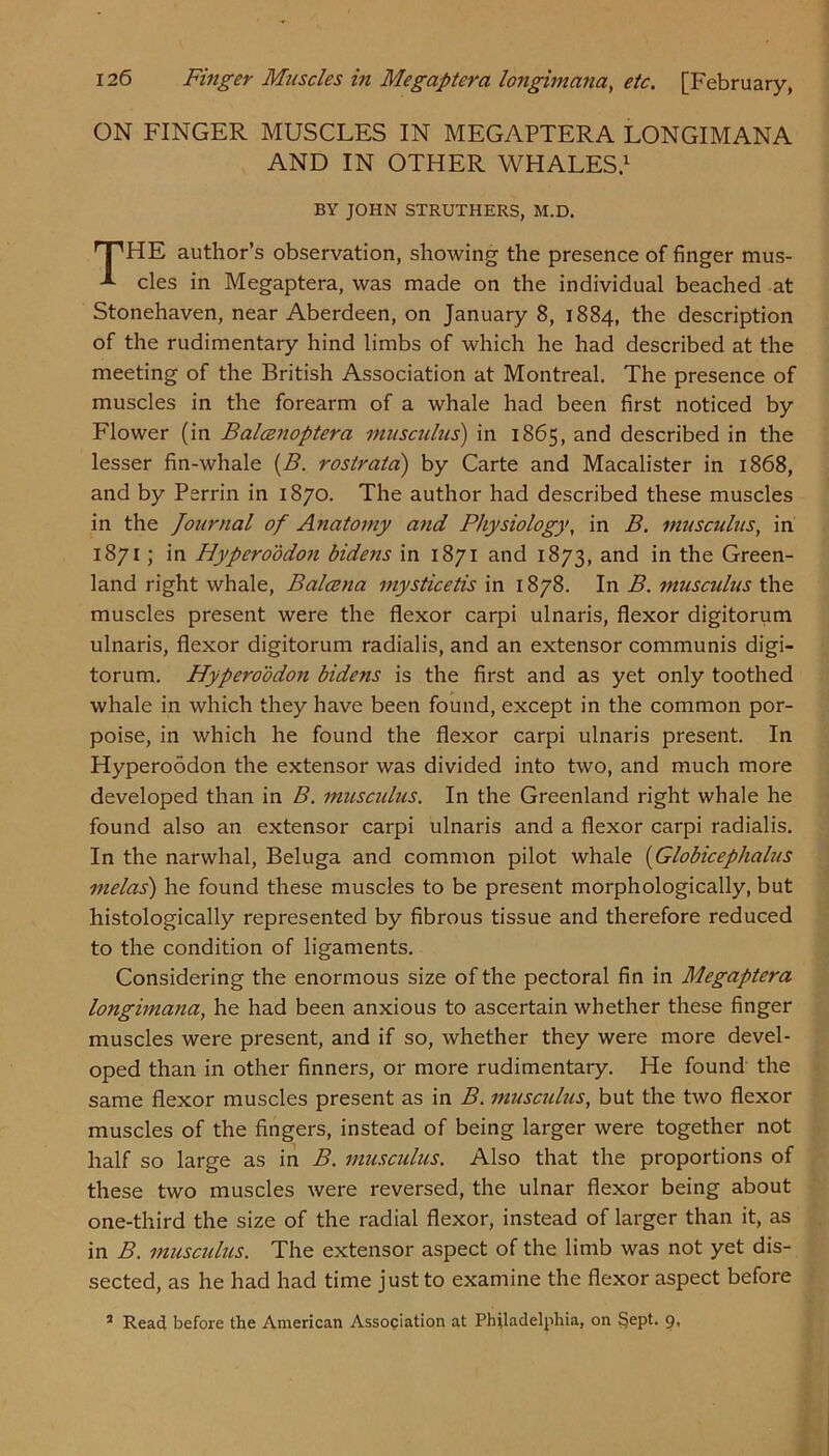 ON FINGER MUSCLES IN MEGAPTERA LONGIMANA AND IN OTHER WHALES.1 BY JOHN STRUTHERS, M.D. rTHE author’s observation, showing the presence of finger mus- ^ cles in Megaptera, was made on the individual beached at Stonehaven, near Aberdeen, on January 8, 1884, the description of the rudimentary hind limbs of which he had described at the meeting of the British Association at Montreal. The presence of muscles in the forearm of a whale had been first noticed by Flower (in Balcenoptera musculus) in 1865, and described in the lesser fin-whale (B. rostratci) by Carte and Macalister in 1868, and by Perrin in 1870. The author had described these muscles in the Journal of Anatomy and Physiology, in B. musculus, in 1871; in Hyperoddon bidens in 1871 and 1873, and in the Green- land right whale, Balcena mysticetis in 1878. In B. musculus the muscles present were the flexor carpi ulnaris, flexor digitorum ulnaris, flexor digitorum radialis, and an extensor communis digi- torum. Hyperoddon bidens is the first and as yet only toothed whale in which they have been found, except in the common por- poise, in which he found the flexor carpi ulnaris present. In Hyperoddon the extensor was divided into two, and much more developed than in B. musculus. In the Greenland right whale he found also an extensor carpi ulnaris and a flexor carpi radialis. In the narwhal, Beluga and common pilot whale (Globiceplialus Indus') he found these muscles to be present morphologically, but histologically represented by fibrous tissue and therefore reduced to the condition of ligaments. Considering the enormous size of the pectoral fin in Megaptera longimana, he had been anxious to ascertain whether these finger muscles were present, and if so, whether they were more devel- oped than in other finners, or more rudimentary. He found the same flexor muscles present as in B. musculus, but the two flexor muscles of the fingers, instead of being larger were together not half so large as in B. musculus. Also that the proportions of these two muscles were reversed, the ulnar flexor being about one-third the size of the radial flexor, instead of larger than it, as in B. musculus. The extensor aspect of the limb was not yet dis- sected, as he had had time just to examine the flexor aspect before 3 Read before the American Association at Philadelphia, on §ept. 9,