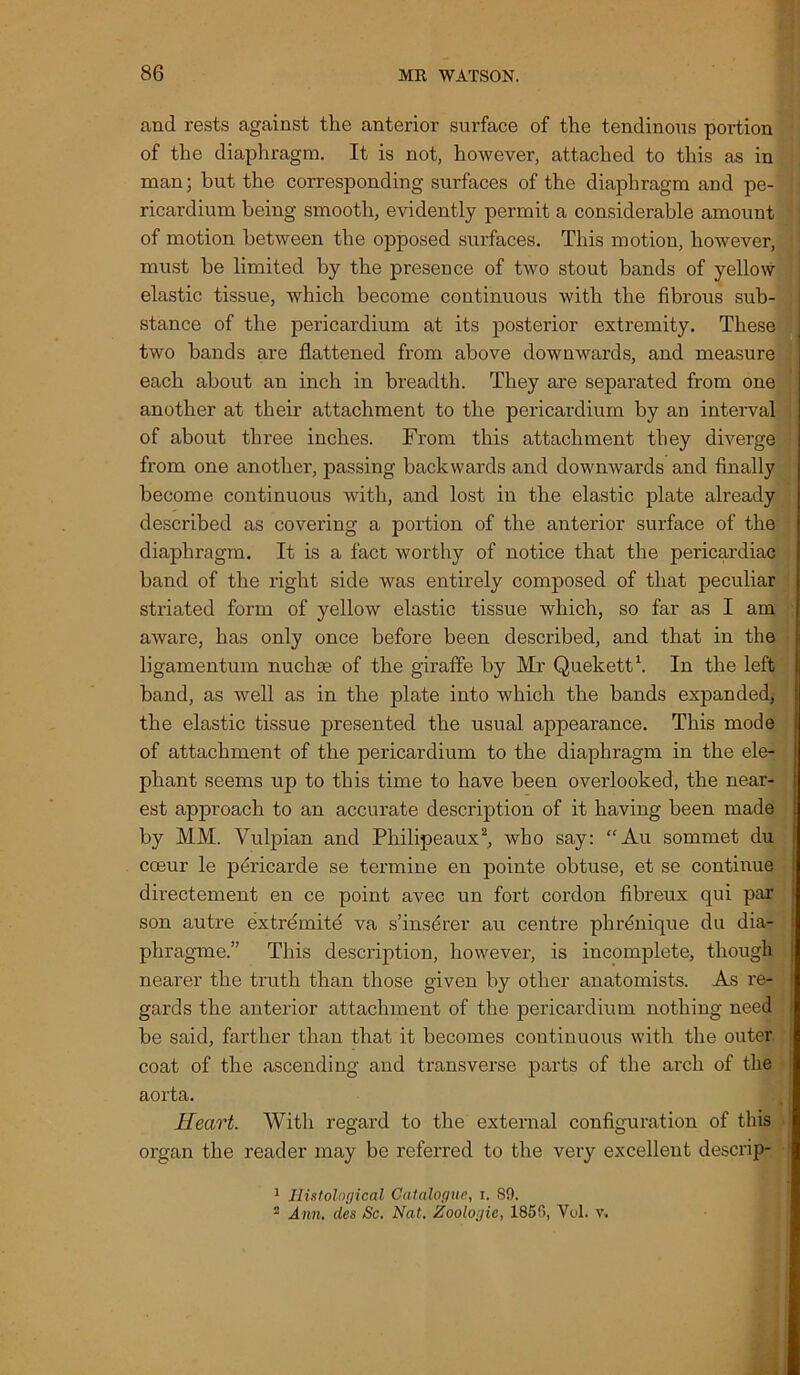 and rests against the anterior surface of the tendinous portion of the diaphragm. It is not, however, attached to this as in man; but the corresponding surfaces of the diaphragm and pe- ricardium being smooth, evidently permit a considerable amount of motion between the opposed surfaces. This motion, however, must be limited by the presence of two stout bands of yellow elastic tissue, which become continuous with the fibrous sub- stance of the pericardium at its posterior extremity. These two bands are flattened from above downwards, and measure each about an inch in breadth. They are separated from one another at their attachment to the pericardium by an interval of about three inches. From this attachment they diverge from one another, passing backwards and downwards and finally become continuous with, and lost in the elastic plate already described as covering a portion of the anterior surface of the diaphragm. It is a fact worthy of notice that the pericardiac band of the right side was entirely composed of that peculiar striated form of yellow elastic tissue which, so far as I am aware, has only once before been described, and that in the ligamentum nuchte of the giraffe by Mr Quekett1. In the left band, as well as in the plate into which the bands expanded, the elastic tissue presented the usual appearance. This mode of attachment of the pericardium to the diaphragm in the ele- phant seems up to this time to have been overlooked, the near- est approach to an accurate description of it having been made by MM. Yulpian and Philipeaux2, who say: “Au sommet du coeur le pericarde se termine en pointe obtuse, et se continue directement en ce point avec un fort cordon fibreux qui par son autre extremite va s’insdrer au centre phrdnique du dia- phragme.” This description, however, is incomplete, though nearer the truth than those given by other anatomists. As re- gards the anterior attachment of the pericardium nothing need be said, farther than that it becomes continuous with the outer, coat of the ascending and transverse parts of the arch of the aorta. Heart. With regard to the external configuration of this organ the reader may be referred to the very excellent descrip- 1 Histological Catalogue, i. 89. 2 Ann. des Sc. Nat. Zoologic, 1850, Veil. v.