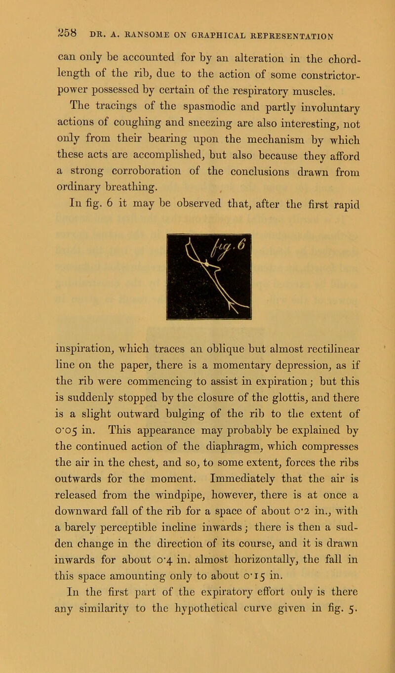 can only be accounted for by an alteration in the chord- length of the rib, due to the action of some constrictor- power possessed by certain of the respiratory muscles. The tracings of the spasmodic and partly involuntary actions of coughing and sneezing are also interesting, not only from their bearing upon the mechanism by which these acts are accomplished, but also because they afford a strong corroboration of the conclusions drawn from ordinary breathing. In fig. 6 it may be observed that, after the first rapid inspiration, which traces an oblique but almost rectilinear line on the paper, there is a momentary depression, as if the rib were commencing to assist in expiration; but this is suddenly stopped by the closure of the glottis, and there is a slight outward bulging of the rib to the extent of o-05 in. This appearance may probably be explained by the continued action of the diaphragm, which compresses the air in the chest, and so, to some extent, forces the ribs outwards for the moment. Immediately that the air is released from the windpipe, however, there is at once a downward fall of the rib for a space of about 0‘2 in., with a barely perceptible incline inwards; there is then a sud- den change in the direction of its course, and it is drawn inwards for about 0'4 in. almost horizontally, the fall in this space amounting only to about o‘i5 in. In the first part of the expiratory effort only is there any similarity to the hypothetical curve given in fig. 5.