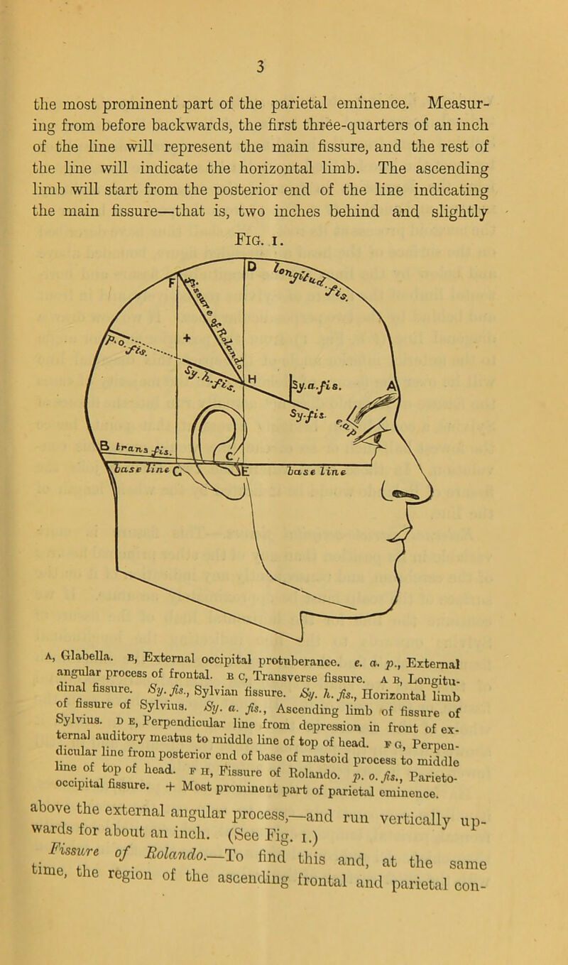 tlie most prominent part of the parietal eminence. Measur- ing from before backwards, the first three-quarters of an inch of the line will represent the main fissure, and the rest of the line will indicate the horizontal limb. The ascending limb will start from the posterior end of the line indicating the main fissure—that is, two inches behind and slightly Fig. I. A, Glabella, b, External occipital protuberance, e. a. p., External angiUar process of frontal, b c, Transverse fissure, a b, Longitu- dinal fissure Sy. Jis., Sylvian fissure. h.fs., Horizontal limb of fissure of Sylvius. Sy. a. fa., Ascending limb of fissure of Sylvius. D E, Perpendicular line from depression in front of ex- ternal auditory meatus to middle line of top of head, y g Perneu- j icular line from posterior end of base of mastoid process to middle line of top of bead, f ii, Fissure of Rolando, p. o.fa., Parieto- occipital fissure, -f Most prominent part of parietal eminence. above the external angular process,—and run vertically up- wards for about an inch. (See Fio- i) «« , the region of the asceiidmg frontal and parietal con-