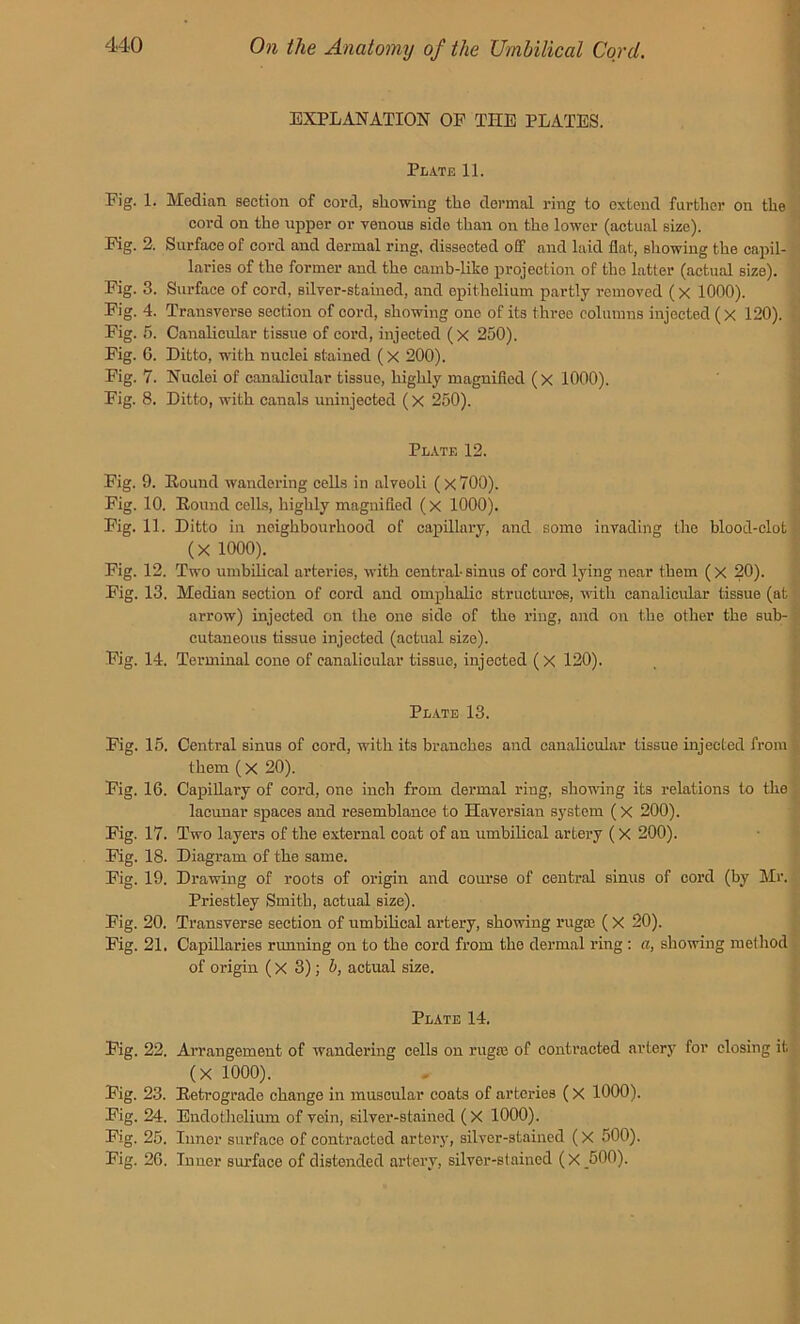 EXPLANATION OP THE PLATES. Plate 11. Fig. 1. Median section of cord, showing the dermal ring to extend further on the cord on the upper or venous side than on the lower (actual size). Fig. 2. Surface of cord and dermal ring, dissected off and laid flat, showing the capil- laries of the former and the camb-like projection of the latter (actual size). Fig. 3. Surface of cord, silver-stained, and epithelium partly removed (X 1000). Fig. 4. Transverse section of cord, showing one of its three columns injected (X 120). Fig. 5. Canalicular tissue of cord, injected (x 250). Fig. 6. Ditto, with nuclei stained ( X 200). Fig. 7. Nuclei of canalicular tissue, highly magnified (X 1000). Fig. 8. Ditto, with canals uninjected (X 250). Plate 12. Fig. 9. Hound wandering cells in alveoli (x700). Fig. 10. Hound cells, highly magnified (x 1000). Fig. 11. Ditto in neighbourhood of capillary, and some invading the blood-clot:' (X 1000). Fig. 12. Two umbilical arteries, with central- sinus of cord lying near them ( X 20). Fig. 13. Median section of cord and omphalic structures, with canalicular tissue (at arrow) injected on the one side of the ring, and on the other the sub- cutaneous tissue injected (actual size). Fig, 14. Terminal cone of canalicular tissue, injected (x 120). Plate 13. Fig. 15. Central sinus of cord, with its branches and canalicular tissue injected from them (X 20). Fig. 16. Capillary of cord, one inch from dermal ring, showing its relations to the lacunar spaces and resemblance to Haversian system (x 200). Fig. 17. Two layers of the external coat of an umbilical artery (X 200). Fig. 18. Diagram of the same. Fig. 19. Drawing of roots of origin and course of central sinus of cord (by Mr. Priestley Smith, actual size). Fig. 20. Transverse section of umbilical artery, showing rugae (X 20). Fig. 21. Capillaries running on to the cord from the dermal ring : a, showing method of origin (X 3); b, actual size. Plate 14. Fig. 22. Arrangement of wandering cells on rugae of contracted artery for closing it. (X 1000). Fig. 23. Betrogrado change in muscular coats of arteries (X 1000). Fig. 24. Endothelium of vein, silver-stained (X 1000). Fig. 25. Inner surface of contracted artery, silver-stained (X 500). Fig. 26. Inner surface of distended artery, silver-stained (x _500).