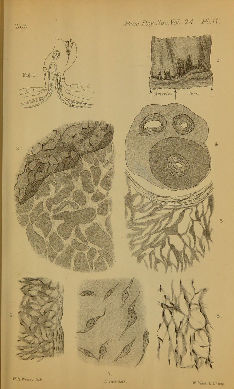 ProcTR.oySoc.Vol. 24. PITT W West &. C°XT7Xp