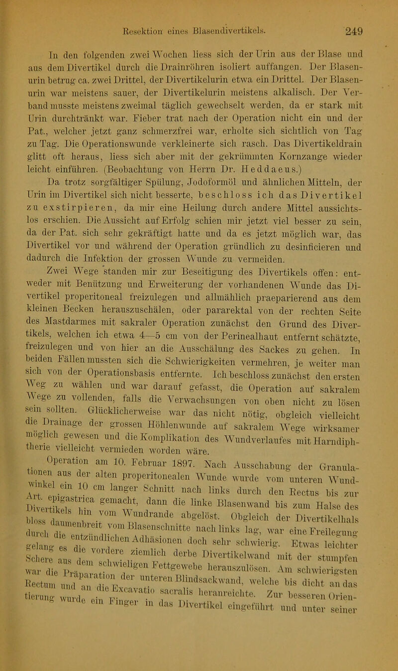 Tn den t'olg-enden zwei Wochen Hess sich der Urin aus derlTlase und aus dem Divertikel durch die Drainröhren isoliert auffangen. Der Dlasen- urin betrug ca. zwei Drittel, der Divertikelurin etwa ein Drittel. Der Blasen- urin war meistens sauer, der Divertikelurin meistens alkalisch. Der ^'er- band musste meistens zweimal tägTich gewechselt werden, da er stark mit Ui'in durchtränkt war. Fieber trat nach der (TiDeration nicht ein und der Pat., welcher jetzt ganz schmerzfrei war, erholte sich sichtlich von Tag zu Tag. Die Operationswunde verkleinerte sich rasch. Das Divertikeldrain glitt oft heraus, Hess sich aber mit der gekrümmten Kornzange wieder leicht einführen. (Beobachtung von Herrn Dr. Heddaeus.) Da trotz sorgfältiger Spülung, Jodoformöl und ähnlichen Mitteln, der Urin im Divertikel sich nicht besserte, beschloss ich dasDivertikel zu exstirpieren, da mir eine Heilung durch andere Mittel aussichts- los erschien. Die Aussicht auf Erfolg schien mir jetzt viel besser zu sein, da der Pat. sich sehr gekräftigt hatte und da es jetzt möglich war, das Divertikel vor und während der Operation gründlich zu desiniicieren und dadurch die Infektion der grossen AAunde zu vermeiden. Zwei Wege standen mir zur Beseitigung des Divertikels offen: ent- weder mit Benützung und Erweiterung der vorhandenen AAunde das Di- vertikel properitoneal freizulegen und allmählich pi-aeparierend aus dem kleinen Becken herauszuschälen, oder pararektal von der rechten Seite des Mastdarmes mit sakraler Operation zunächst den Grund des Diver- tikels, welchen ich etwa 4—5 cm von der Perinealhaut entfernt schätzte, freizulegen und von hier an die Ausschälung des Sackes zu gehen. In beiden Fällen mussten sich die Schwierigkeiten vermehren, je weiter man sich von der Operationsbasis entfernte. Ich beschloss zunächst den ersten M eg zu wählen und war darauf gefasst, die Operation auf sakralem ege zu vollenden, falls die J'erwachsungen von oben nicht zu lösen sein sollten. Glücklicherweise war das nicht nötig, obgleich vielleicht le I rainage der grossen Höhlen wunde auf sakralem Wege wirksamer möglich gewesen und die Komplikation des Wundverlaufes mit Harndiph- tlierie vielleicht vermieden worden wäre. tanen aus der alten properitoneale,i Wunde tvurde von, unteren \V„n,l- ' .“1® “eil links durch den Eectus bis zur iiiver E ;r ''“‘E’ ““*“■■“»‘1 Ws nun. Halse des l.los/r ''“'Wrande at,gelöst. Obgleich der Divei'tikellials '■ek drEEin’”'“ATr''‘'''‘‘' One Freilegung «elang es die’v., “ ®Wnviei-ig. Etwas leichter Kchere ans tl„ derbe Divertikelwand mit der stumpfen «ar die Ihhlaral'f''''‘fherauszulBsen. Am scliwierigLn Kectu,;^.ud ‘:“: W>it atdas tierimg w„,.d„ ,cf“ f“'! !* '>'™»'eicbte. Zur besseren Orien- '»Hlc em hmger m ,las Dive.tikel eiugefilhrt und unter seiner