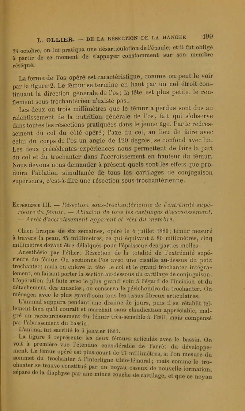 24 octobre, on lui pratiqua une désarliculation de l’épaule, et il fut obligé à partir de ce moment de s’appuyer constamment sur son membre réséqué. La forme de l’os opéré est caractéristique, comme on peut le voir par la figure'2. Le fémur se termine en haut par un col étroit con- tinuant la direction générale de l’os; la tète est plus petite, le ren- flement sous-trochantérien n’existe pas. Les deux ou trois millimètres que le fémur a perdus sont dus au ralentissement de la nutrition générale de l’os, fait qui s’observe dans toutes les résections pratiquées dans le jeune âge. Parle redres- sement du col du côté opéré; l’axe du col, au lieu de faire avec celui du corps de l’os un angle de 120 degrés, se confond avec lui. Les deux précédentes expériences nous permettent de faire la part du col et du trochanter dans l’accroissement en hauteur du fémur. Nous devons nous demander à présent quels sont les effets que pro- duira l’ablation simultanée de tous les cartilages de conjugaison supérieurs, c’est-à-dire une résection sous-trochantérienne. Expérience III. — Résection sous-trochantérienne de l’extrémité supé- rieure du fémur. — Ablation de tous les cartilages d'accroissement. — Arrêt d'accroissement apparent et réel du membre. Chien braque de six semaines, opéré le 4 juillet 1880; fémur mesuré à travers la peau, 85 millimètres, ce qui équivaut à 80 millimètres, cinq millimètres devant être défalqués pour l’épaisseur des parties molles. Anesthésie par l’éther. Résection de la totalité de l’extrémité supé- rieure du fémur. On sectionne l’os avec une cisaille au-dessus du petit trochanter; mais on enlève la tête, le col et le grand trochanter intégra- lement, en faisant porter la section au-dessous du cartilage de conjugaison. L’opération fut faite avec le plus grand soin à l’égard de l'incision et du détachement des muscles; on conserva le périchondre du trochanter. On ménagea avec le plus grand soin tous les tissus fibreux articulaires. L’animal suppura pendant une dizaine de jours, puis il se rétablit tel- lement bien qu’il courait et marchait sans claudication appréciable, mal- gré un raccourcissement du fémur très-sensible à l’œil, mais compensé par l’abaissement du bassin. L’animal fut sacrifié le 6 janvier 1831. La figure 3 représente les deux fémurs articulés avec le bassin. On voit a première vue l’étenduo considérable de l’arrêt du développe- ment. Le fémur opéré est plus court do Ï7 millimètres, si l’on mesure du sommet du trochanter à l’interligne libio-fémoral ; mais comme le tro- chanter se trouve constitué par un noyau osseux de nouvelle formation sépare de la diaphyse par une mince couche de cartilage, et que ce noyau