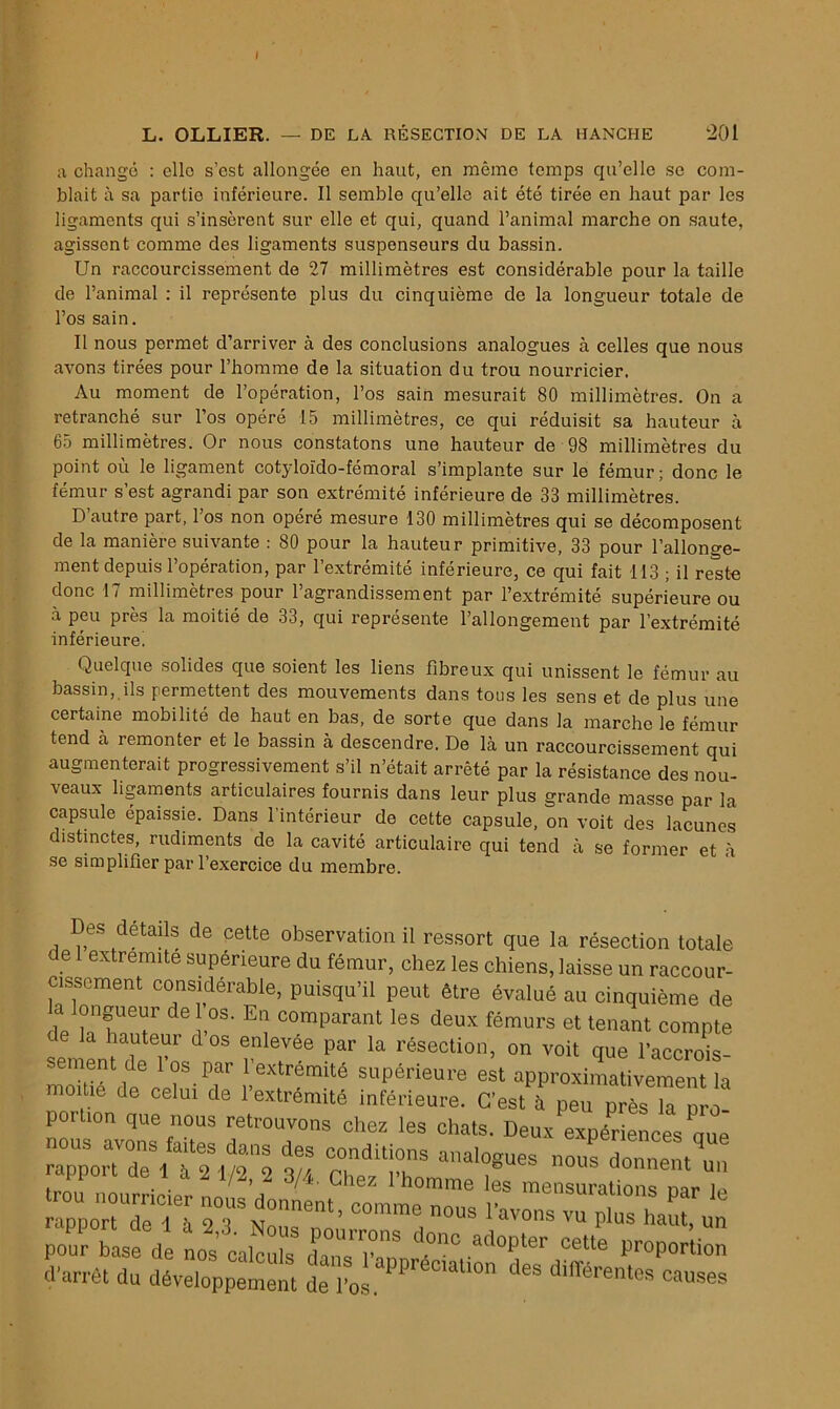 I L. OLLIER. — DE LA RÉSECTION DE LA HANCHE 201 a change : ello s’est allongée en haut, en même temps qu’elle se com- blait à sa partie inférieure. Il semble qu’elle ait été tirée en haut par les ligaments qui s’insèrent sur elle et qui, quand l’animal marche on saute, agissent comme des ligaments suspenseurs du bassin. Un raccourcissement de 27 millimètres est considérable pour la taille de l’animal : il représente plus du cinquième de la longueur totale de l’os sain. Il nous permet d’arriver à des conclusions analogues à celles que nous avons tirées pour l’homme de la situation du trou nourricier. Au moment de l’opération, l’os sain mesurait 80 millimètres. On a retranché sur l’os opéré 15 millimètres, ce qui réduisit sa hauteur à 65 millimètres. Or nous constatons une hauteur de 98 millimètres du point où le ligament cotyloïdo-fémoral s’implante sur le fémur; donc le fémur s est agrandi par son extrémité inferieure de 33 millimètres. D’autre part, l’os non opéré mesure 130 millimètres qui se décomposent de la manière suivante : 80 pour la hauteur primitive, 33 pour l’allonge- ment depuis l’opération, par l’extrémité inférieure, ce qui fait 113 ; il reste donc 17 millimètres pour l’agrandissement par l’extrémité supérieure ou à peu près la moitié de 33, qui représente l’allongement par l’extrémité inférieure! Quelque solides que soient les liens fibreux qui unissent le fémur au bassin, ils permettent des mouvements dans tous les sens et de plus une certaine mobilité de haut en bas, de sorte que dans la marche le fémur tend à remonter et le bassin à descendre. De là un raccourcissement qui augmenterait progressivement s’il n’était arrêté par la résistance des nou- veaux ligaments articulaires fournis dans leur plus grande masse par la capsule épaissie. Dans l'intérieur de cette capsule, on voit des lacunes distinctes, rudiments de la cavité articulaire qui tend à se former et à se simplifier par l’exercice du membre. Des détails de cette observation il ressort mm la rpcpptten a * U* a/4. Liiez l’homme les trou nourricier nous donnent, comme nous r», ;s mensurations par le , comme nous l’avons vu plus haut, un urrons donc adopter cette proportion d’arrêt du développement de l’os. causes