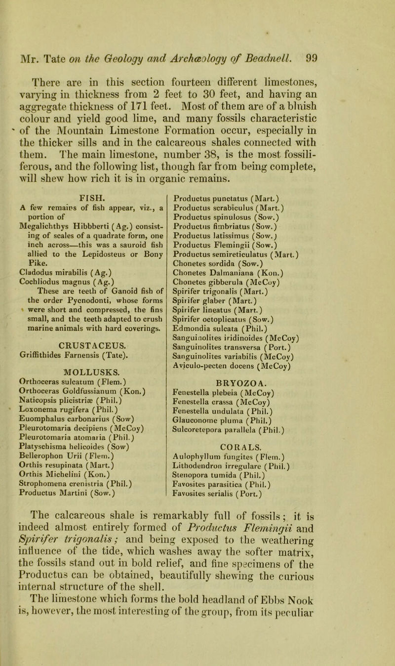 There are in this section fourteen different limestones, varying in thickness from 2 feet to 30 feet, and having an aggregate thickness of 171 feet. Most of them are of a bluish colour and yield good lime, and many fossils characteristic ' of the Mountain Limestone Formation occur, especially in the thicker sills and in the calcareous shales connected with them. The main limestone, number 38, is the most fossili- ferous, and the following list, though far from being complete, will shew how rich it is in organic remains. F[SH. A few remains of fish appear, viz., a portion of Megalichthys Hibbberti (Ag.) consist- ing of scales of a quadrate form, one inch across—this was a sauroid fish allied to the Lepidosteus or Bony Pike. Cladodus mirabilis (Ag.) Cochliodus magnus (Ag.) These are teeth of Ganoid fish of the order Pycnodonti, whose forms i were short and compressed, the fins small, and the teeth adapted to crush marine animals with hard coverings. CRUSTACEUS. Griffithides Farnensis (Tate). MOLLUSKS. Orthoceras sulcatum (Flem.) Orthoceras Goldfussianum (Kon.) Naticopsis plicistrise (Phil.) Loxonema rugifera (Phil.) Euomphalus carbonarius (Sow) Pleurotomaria decipiens (McCoy) Pleurotomaria atomaria (Phil.) Platyschisma helicoides (Sow) Bellerophon Urii (Flem.) Orthis resupinata (Mart.) Orthis Michelini (Kon.) Strophomena crenistria (Phil.) Productus Martini (Sow.) Productus punctatus (Mart.) Productus scrabiculus (Mart.) Productus spinulosus (Sow.) Productus fimbriatus (Sow.) Productus latissimus (Sow.) Productus Flemingii (Sow.) Productus semireticulatus (Mart.) Chonetes sordida (Sow.) Chonetes Dalmaniana (Kon.) Chonetes gibberula (McCoy) Spirifer trigonalis (Mart.) Spirifer glaber (Mart.) Spirifer lineatus (Mart.) Spirifer octoplicatus (Sow.) Edmondia sulcata (Phil.) Sanguinolites iridinoides (McCoy) Sanguinolites transversa (Port.) Sanguinolites variabilis (McCoy) Aviculo-pecten docens (McCoy) BRYOZOA. Fenestella plebeia (McCoy) Fenestella crassa (McCoy) Fenestella undulata (Phil.) Glauconome pluma (Phil.) Sulcoretepora parallela (Phil.) CORALS. Aulophyllum fungites (Flern.) Lithodendron irregulare (Phil.) Stenopora tumida (Phil.) Favosites parasitica (Phil.) Favosites serialis (Port.) The calcareous shale is remarkably full of fossils; it is indeed almost entirely formed of Productus Flemingii and Spirifer trigonalis; and being exposed to the weathering influence of the tide, which washes away the softer matrix, the fossils stand out in bold relief, and fine specimens of the Productus can be obtained, beautifully shewing the curious internal structure of the shell. The limestone which forms the bold headland of Ebbs Nook is, however, the most interesting of the group, from its peculiar