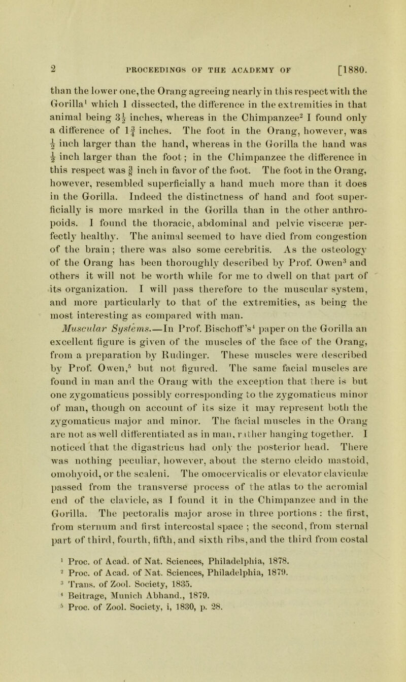 9 than the lower one, the Orang agreeing nearl y in tliis respect with the Gorilla' which 1 dissected, the difference in the extremities in that animal lieing 3^ inches, whereas in the Chimpanzee^ I found only a ditFerence of If inches. The foot in the Orang, however, was ^ inch larger than the hand, whereas in the Gorilla the hand was ^ inch larger than the foot; in the Chimpanzee the difference in this respect was | inch in favor of the foot. The foot in the Orang, however, resembled superficially a hand much more than it does in the Gorilla. Indeed the distinctness of hand and foot su[)er- ficiall}^ is more marked in the Gorilla than in the other anthro- poids. I found the thoracic, abdominal and pelvic viscerm per- fectly health}'. The animal seemed to have died from congestion of the brain; there was also some cerebritis. As the osteology of the Orang has been thoroughly described by Prof. Owen^ and others it will not be worth while for me to dwell on that part of its organization. I will j)ass therefore to the mnscnlar system, and more particularly to that of the extremities, as being the most interesting as compared with man. Muscular Systems—In Prof. Bischoff’s^ paper on the Gorilla an excellent figure is given of the muscles of the face of the Orang, from a preparation by Rndinger. These muscles were described b}' Prof. Owen,'’ bnt not figured. The same facial muscles are found in man and the Orang with the exception that there is bnt one zygomaticns possibl}^ corresponding to the zygomaticus minor of man, though on account of its size it may I’epresent both the zygomaticns major and minor. The facial muscles in the Orang are not as well ditterentiated as in man, r ither hanging together. I noticed that the digastricus had only the posterior head. There was nothing pecnliar, however, about the sterno cleido mastoid, omohyoid, or the scaleni. The omocervicalis or elevator clavicnhv passed from the transverse process of the atlas to the acromial end of the clavicle, as I found it in the Chimpanzee and in the Gorilla. The pectoralis major arose in three portions : the first, from sternum and first intercostal space ; the second, from sternal part of third, fourth, fifth, and sixth ribs, and the third from costal ' Proc. of Acad, of Nat. Sciences, Philadelphia, 1878. Proc. of Acad, of Nat. Sciences, Philadelphia, 1871). •’ 'frans. of Zool. Society, 1835. ^ Beitrage, Munich Abhand., 1879. Proc. of Zool. Society, i, 1830, p. 28.