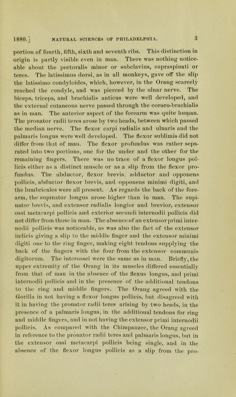 portion of fourth, fifth, sixth and seventh ribs. This distinction in origin is parti} visible even in man. There was nothing notice- able about the pectoralis minor or snbclavins, snpraspinati or teres. The latissimiis dorsi, as in all monke}7^s, gave off the slip the latissimo condyloides, which, however, in the Orang scarcely reached the condyle, and was pierced by the ulnar nerve. The biceps, triceps, and brachialis anticus were well developed, and the external cutaneous nerve passed through the coraco-brachialis as in man. The anterior aspect of the forearm was quite human. The pronator radii teres arose b}^ two heads, between which passed the median nerve. The flexor carpi radialis and ulnaris and the palmaris longus were well developed. The flexor sublimis did not differ from that of man. The flexor profundus was rather sepa- rated into two portions, one for the under and the other for the remaining fingers. There was no trace of a flexor longus pol- licis either as a distinct muscle or as a slip from the flexor pro- fundus. The abductor, flexor brevis, adductor and opponens pollicis, abductor flexor brevis, and opponens minimi digiti, and the lumbricales were all present. As regards the back of the fore- arm, the supinator longus arose higher than in man. The supi- nator brevis, and extensor radialis longior and brevior, extensor ossi metacarpi pollicis and exterior secundi internodii pollicis did not differ from those in man. The absence of an extensor primi inter- nodii pollicis was noticeable, as was also the fact of the extensor indicis giving a slip to the middle finger and the extensor minimi digiti one to tlie ring finger, making eight tendons supplying the back of the fingers with the four from the extensor communis digitorum. The interossei were the same as in man. Briefl}, the upper extremity of the Orang in its muscles differed essentially from that of man in the absence of the flexus longus, and primi internodii pollicis and in the presence of tlie additional tendons to the ring and middle lingers. The Orang agreed with the Gorilla in not having a Ilexor longus pollicis, but disagreed with it in having the pronator radii teres arising by two heads, in the presence of a palmaris Jongus, in the additional tendons for rino- and middle fingers, and in not having the extensor primi internodii pollicis. As compared with the Chimpanzee, tlie Orang agreed in reference to the pronator radii teres and palmaris longns, but in the extensor ossi metacarpi pollicis being single, and in the absence of the flexor longus pollicis as a slip from the pro-