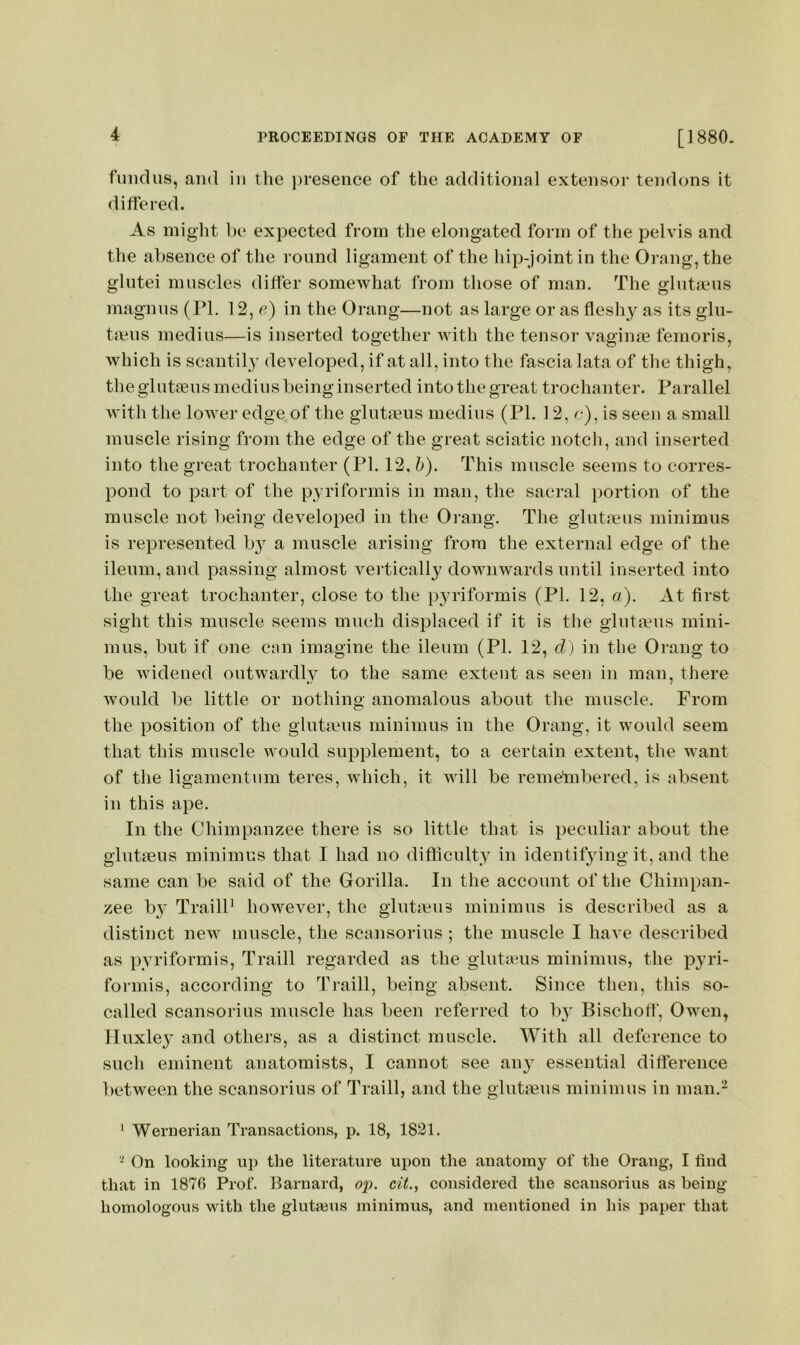 fundus, and in the i)resence of the additional extensor tendons it differed. As migiit be expected from the elongated form of the pelvis and the absence of the round ligament of the liip-jointin the Orang,the glutei muscles differ somewhat from those of man. The glntseus magnus (PL 12, c) in the Orang—not as large or as fleshy as its glu- tmus mediiis—is inserted together with the tensor vaginae femoris, which is scantily developed, if at all, into the fascia lata of the thigh, the giutEensmedius being inserted into the great trochanter. Parallel with the lower edge of the glutaens niedius (PI. 12, c), is seen a small muscle rising from the edge of the great sciatic notch, and inserted into the great trochanter (PI. 12. h). This muscle seems to corres- pond to part of the pyriformis in man, the sacral portion of the muscle not being developed in the Orang. The glutmus minimus is represented b} a muscle arising from the external edge of the ileum, and passing almost vertically downwards until inserted into the great trochanter, close to the pyriformis (PI. 12, a). At first sight this muscle seems much displaced if it is the glutmus mini- mus, but if one can imagine the ileum (PI. 12, d) in tlie Orang to be widened outwardly to the same extent as seen in man, there would be little or nothing anomalous about the muscle. From the position of the glutmus minimus in the Orang, it would seem that this muscle would supplement, to a certain extent, the want of the ligamentum teres, which, it will be remelnbered, is absent in this ape. In the Chimpanzee there is so little that is peculiar about the glutaeus minimus that I had no difficulty in identifying it, and the same can be said of the Gorilla. In the account of the Chimpan- zee by TrailP however, the glutmus minimus is described as a distinct new muscle, the scansorius ; the muscle I have described as pyriformis, Traill regarded as the glutams minimus, the pyri- formis, according to Traill, being absent. Since then, this so- called scansorius muscle has been referred to b^' Bischotf, Owen, Huxley and others, as a distinct muscle. With all deference to such eminent anatomists, I cannot see an} essential difference between the scansorius of Traill, and the glutmus minimus in man.- ' Wernerian Transactions, p. 18, 1821. On looking up the literature upon the anatomy of the Orang, I find that in 1870 Prof. Barnard, 6>p. cit., considered the scansorius as being homologous with the glutaius minimus, and mentioned in liis paper that