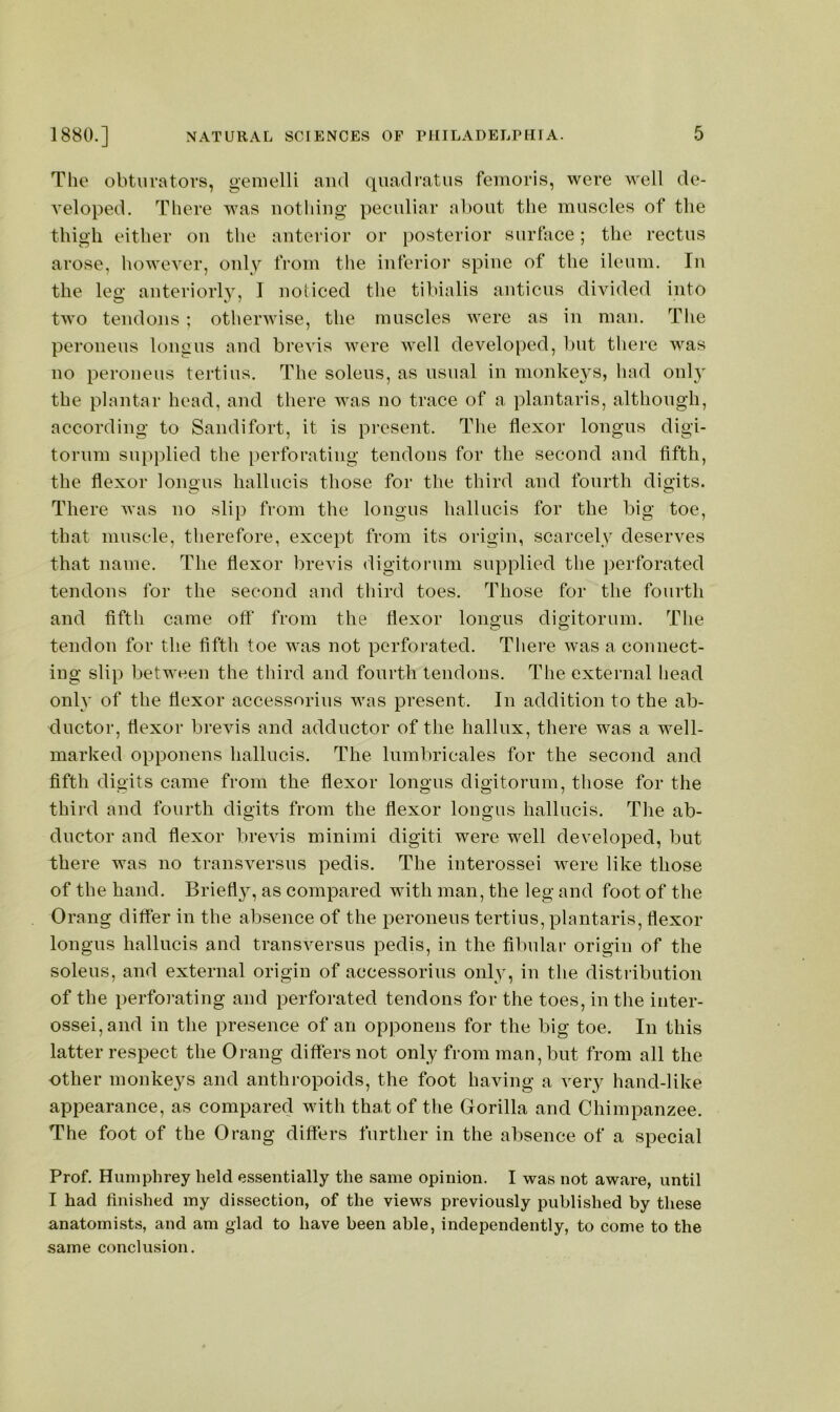 The obturators, gemelli and quadratus feinoris, were M^ell de- veloped. There was notliing peculiar about the muscles of the thigh either on tlie anterior or posterior surface; the rectus arose, however, only from tlie inferior spine of the ileum. In the leg anteriorly, I noticed the tibialis anticus divided into two tendons; otherwise, the muscles were as in man. The peroneus longus and brevis were well developed, but there was no peroneus tertius. The soleus, as usual in monkeys, had onl}' the plantar head, and there was no trace of a plantaris, although, according to Sandifort, it is present. The flexor longus digi- torum supplied the perforating tendons for the second and flfth, the flexor lonous hallucis those for the third and fourth digits. There was no slip from the longus hallucis for the big toe, that muscle, therefore, except from its origin, scarcely deserves that name. The flexor brevis digitorum supplied the perforated tendons for the second and third toes. Those for the fourth and fifth came off from the flexor longus digitorum. The tendon for the fifth toe was not perforated. There was a connect- ing slip between the third and fourth tendons. The external head only of the flexor accessorius was present. In addition to the ab- ductor, flexor brevis and adductor of the hallux, there was a well- marked opponens hallucis. The Inmbricales for the second and fifth digits came from the flexor longus digitorum, those for the third and fourth digits from the flexor longus hallucis. The ab- ductor and flexor brevis minimi digiti were well developed, but there was no transversus pedis. The interossei were like those of the hand. Briefl^q as compared with man, the leg and foot of the Orang differ in the absence of the peroneus tertius, plantaris, flexor longus hallucis and transversus pedis, in the flbular origin of the soleus, and external origin of accessorius only, in the distribution of the perfoj-ating and perforated tendons for the toes, in the inter- ossei, and in the presence of an opponens for the big toe. In this latter respect the Orang differs not only from man, but from all the other monkeys and anthropoids, the foot having a very hand-like appearance, as compared with that of the Gorilla and Chimpanzee. The foot of the Orang differs further in the absence of a special Prof. Humphrey held essentially the same opinion. I was not aware, until I had finished my dissection, of the views previously published by these anatomists, and am glad to have been able, independently, to come to the same conclusion.