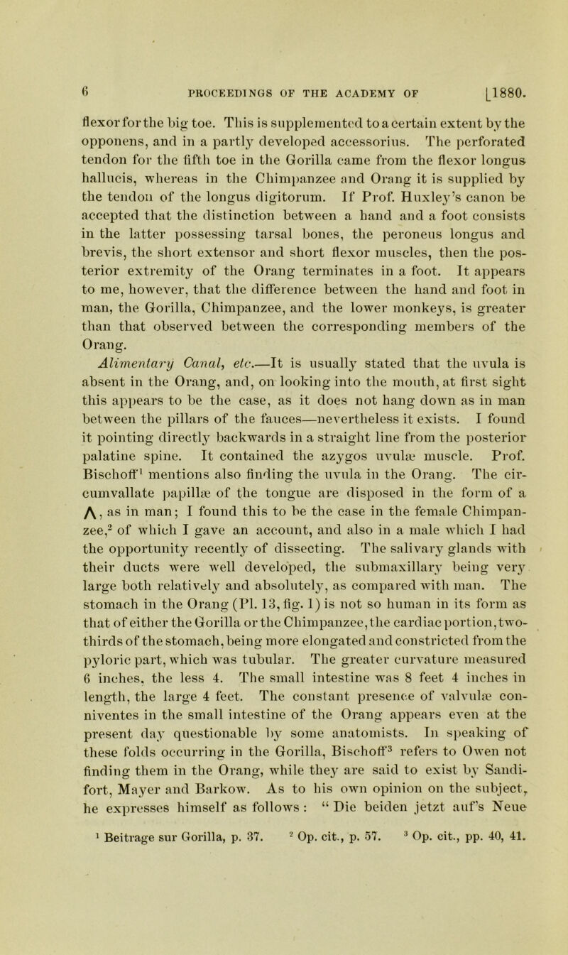 flexor for the big- toe. This is supplemented to a certain extent by the opponens, and in a partl}^ developed accessorius. The perforated tendon for the fifth toe in the Gorilla came from the flexor longus hallucis, whereas in the Chimpanzee and Orang it is supplied by the tendon of the longus digitorum. If Prof. Huxle3'’s canon be accepted that the distinction between a hand and a foot consists in the latter possessing tarsal bones, the peroneus longus and brevis, the short extensor and short flexor muscles, then the pos- terior extremity of the Orang terminates in a foot. It appears to me, however, that the difference betw^een the hand and foot in man, the Gorilla, Chimpanzee, and the lower monkeys, is greater than that observed between the corresponding members of the Orang. Alimentary Canal, etc.—It is usuall} stated that the uvula is absent in the Orang, and, on looking into the mouth, at first sight this appears to be the case, as it does not hang down as in man between the pillars of the fauces—nevertheless it exists. I found it pointing directly- backwards in a straight line from the posterior palatine spine. It contained the az}^gos uvula? muscle. Prof. Bischofi'^ mentions also finding the uvula in the Orang. The cir- cumvallate papillae of the tongue are disposed in the form of a as in man; I found this to be the case in the female Chimpan- zee,^ of which I gave an account, and also in a male which I had the opportunity recently of dissecting. The salivaiy glands with their ducts were w^ell developed, the submaxillarv being very large both relativel}^ and absolutely, as compared with man. The stomach in the Orang (PI. 13, fig. I) is not so human in its form as that of either the Gorilla or the Chimpanzee, the cardiac portion, two- thirds of the stomach, being more elongated and constricted from the pyloric part, which was tubular. The greater curvature measured 6 inches, the less 4. The small intestine was 8 feet 4 inches in length, the large 4 feet. The constant presence of valvula? con- niventes in the small intestine of the Orang appears even at the present day questionable b}^ some anatomists. In speaking of these folds occurring in the Gorilla, Bischoff^ refers to Owen not finding them in the Orang, while the}' are said to exist by Sandi- fort, Mayer and Barkow. As to his own opinion on the subject, he expresses himself as follows : “ Die beiden jetzt aiifs Neue