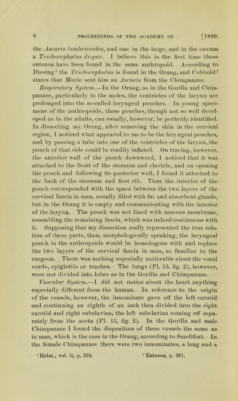 the Aacaris /umhricoidea^ and one in the large, and in the cfecum a Trichocephalus di^par. I believe tliis is the first time these entozoa have been found in the same anthropoid. According to Diesing' tlie Trichovejjhalas is found in the Orang, and (fobbold- states that Mnrie sent him an A^caris from the Chimi)anzee. Reapii'atorij System.—In the Orang, as in the Gorilla and Chim- panzee, lairticnlarly in the males, the ventricles of the lar^'iix are prolonged into the so-called laryngeal ])onches. In young speci- mens of the anthropoids, these pouches, though not so well devel- oped as in the adnlts, can nsnally, however, be i)erfectly identified. In dissecting my Orang, after removing tlie skin in the cervical region, 1 noticed what appeared to me to be the laryngeal pouches, and by passing a tube into one of the ventricles of the larynx, the pouch of that side could be readily inflated. On tracing, however, the anterior wall of the pouch downward, I noticed that it was attached to the front of the sternum and clavicle, and on opening the pouch and following its posterior wall, I found it attached to the back of the sternum and first rib. Thus the interior of the pouch corresponded with the space between the two layers of the cervical fascia in man, usually filled with fat and absorbent glands, but in the Orang it is empt}^ and communicating with the interior of the laryn:^:. The pouch was not lined with mucous membrane, resembling the remaining fascia, which was indeed continuous with it. Supposing that my dissection really represented the true rela- tion of these parts, then, morphologically speaking, the laryngeal pouch in the anthropoids w^ould be homologous with and replace the two layers of the cervical fascia in man, so familiar to the surgeon. There was nothing especially noticeable about the vocal cords, epiglottis or trachea. The lungs (PI. 13, fig. 2), however, were not divided into lobes as in the Gorilla and Chimpanzee. Vascular' System.—I did not notice about the heart anything especially different from tlie human. In reference to the origin of the vessels, however, the innominate gave off the left carotid and continuing an eighth of an inch then divided into the right carotid and right subclavian, tlie left subclavian coming off sepa- rately from the aorta (PI. 13, fig. 2). In the Gorilla and male Chimpanzee I found the disposition of these vessels the same as in man, which is the case in the Orang, according to Sandifort. In the female Chimiianzee there were two innominates, a long and a ' Helm., vol. ii, p. 534. Entozoa, p. 291.