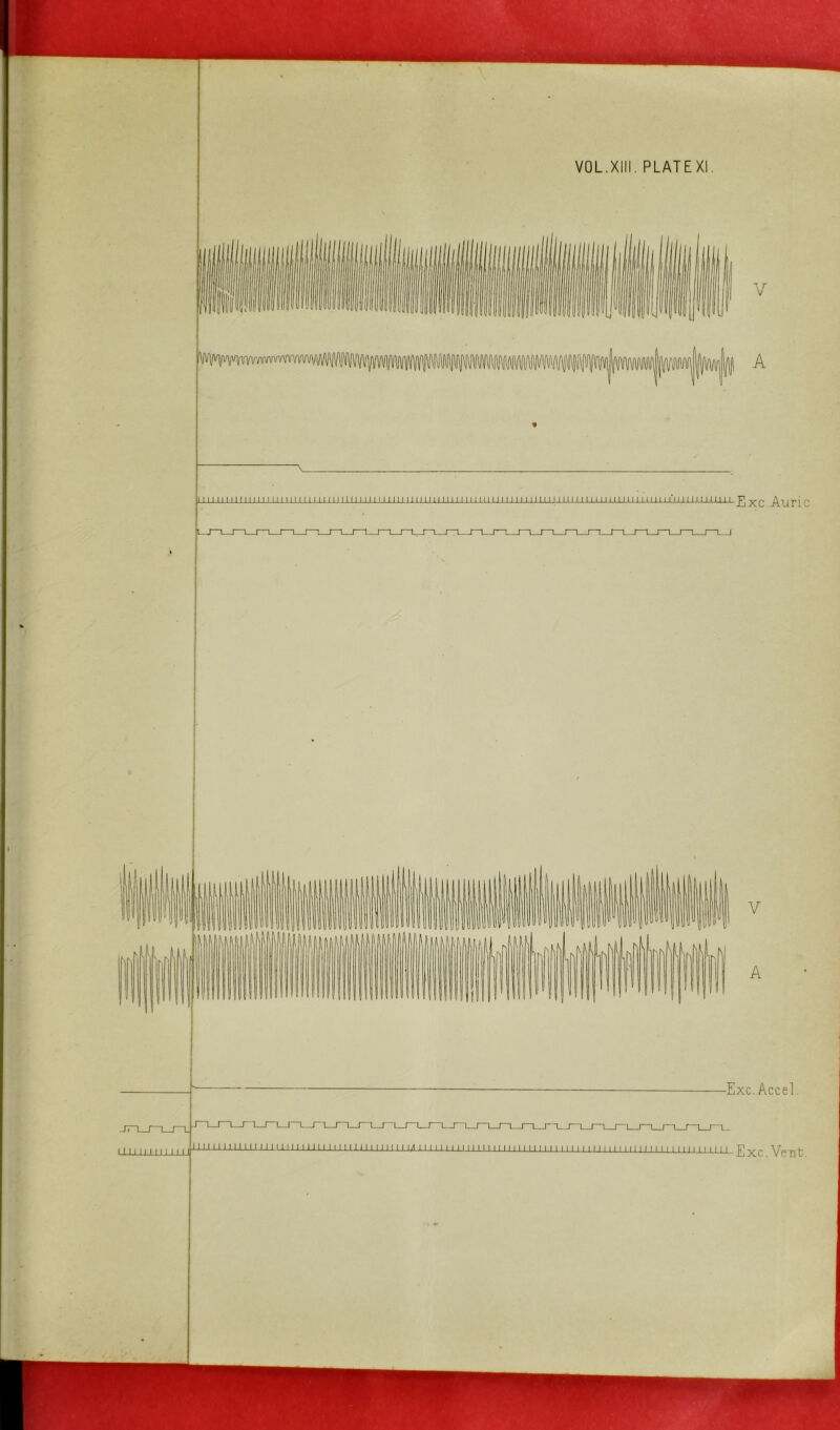VOL.XIII. PLATE XI. * ' ' ' A. mi111111111111111ii1111111n111111111111m111111111111 jp xc Auric