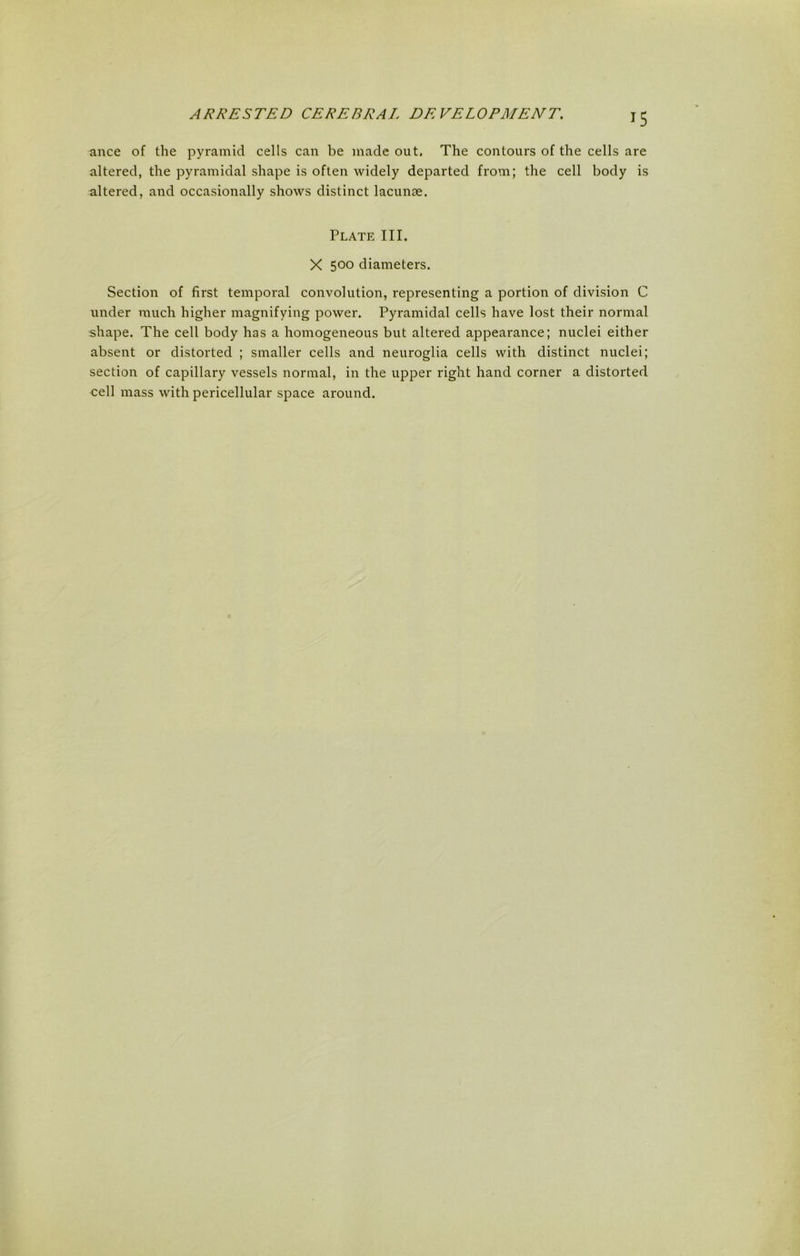 ance of the pyramid cells can be made out. The contours of the cells are altered, the pyramidal shape is often widely departed from; the cell body is altered, and occasionally shows distinct lacunae. Plate III. X 500 diameters. Section of first temporal convolution, representing a portion of division C under much higher magnifying power. Pyramidal cells have lost their normal shape. The cell body has a homogeneous but altered appearance; nuclei either absent or distorted ; smaller cells and neuroglia cells with distinct nuclei; section of capillary vessels normal, in the upper right hand corner a distorted cell mass with pericellular space around.