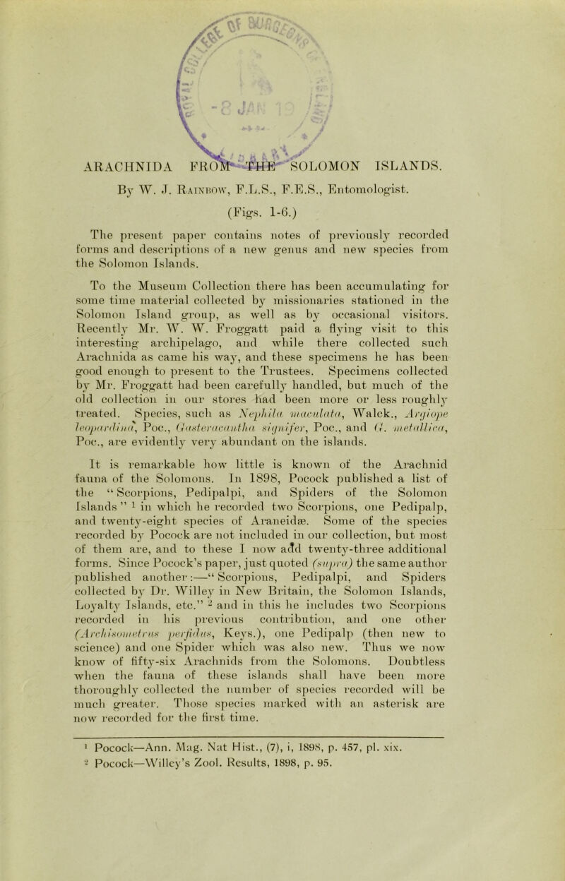 ARACHNIDA ISLANDS. By W. J. Rainbow, F.L.S., F.E.S., Entomologist. (Figs. 1-6.) The present paper contains notes of previously recorded forms and descriptions of a new genus and new species from the Solomon Islands. To the Museum Collection there has been accumulating for some time material collected by missionaries stationed in the Solomon Island group, as well as by occasional visitors. Recently Mr. W. W. Froggatt paid a flying visit to this interesting archipelago, and while there collected such Arachnida as came his way, and these specimens he lias been good enough to present to the Trustees. Specimens collected by Mr. Froggatt had been carefully handled, but much of the old collection in our stores had been more or less roughly treated. Species, such as Nephila maculata, Walck., Argiope leopmrdiua, Poc., Gasteracantha signifer, Poc., and G. nietallira, Poc., are evidently very abundant on the islands. It is remarkable how little is known of the Arachnid fauna of the Solomons. In 1898, Pocock published a list of the “ Scorpions, Pedipalpi, and Spiders of the Solomon Islands ” 1 2 in which he recorded two Scorpions, one Pedipalp, and twenty-eight species of Araneidas. Some of the species recorded by Pocock are not included in our collection, but most of them are, and to these I now add twenty-three additional forms. Since Pocock’s paper, just quoted (supra) the same author published another:—“Scorpions, Pedipalpi, and Spiders collected by Dr. Willey in New Britain, the Solomon Islands, Loyalty Islands, etc.” 1 and in this he includes two Scorpions recorded in his previous contribution, and one other (Archisometrus perfidus, Keys.), one Pedipalp (then new to science) and one Spider which was also new. Thus we now know of fifty-six Arachnids from the Solomons. Doubtless when the fauna of these islands shall have been more thoroughly collected the number of species recorded will be much greater. Those species marked with an asterisk are now recorded for the first time. 1 Pocock—Ann. Mag. Nat Hist., (7), i, 189S, p. 457, pi. xix.