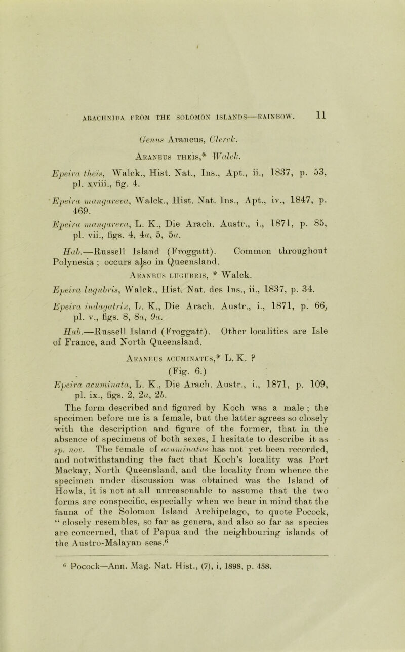 Genius Araneus, ClercJc. Araneus theis,* Wald'. Epeira theis, Walck., Hist. Nat., Ins., Apt., ii., 1837, p. 53, pi. xviii., tig. 4. Epeira mamjareva, Walck., Hist. Nat. Ins., Apt., iv., 1847, p. 469. Epeira mangareva, L. K., Die Arach. Austr., i., 1871, p. 85, pi. vii., tigs. 4, 4a, 5, 5a. Hah.—Russell Island (Froggatt). Common throughout Polynesia ; occurs also in Queensland. Araneus lugubris, * Walck. Epeira lajabris, Walck., Hist. Nat. des Ins., ii., 1837, p. 34. Epeira imlagatrix, L. K., Die Arach. Austr., i., 1871, p. 66, pi. v., figs. 8, 8a, 9a. Hab.—Russell Island (Froggatt). Other localities are Isle of France, and North Queensland. Araneus acuminatus,* L. K. ? (Fig. 6.) Epeira acuminata, L. K., Die Arach. Austr., i., 1871, p. 109, pi. ix., tigs. 2, 2a, 2b. The form described and figured by Koch was a male ; the specimen before me is a female, but the latter agrees so closely with the description and figure of the former, that in the absence of specimens of both sexes, I hesitate to describe it as sp. nor. The female of acuminatus has not yet been recorded, and notwithstanding the fact that Koch’s locality was Port Mackay, North Queensland, and the locality from whence the specimen under discussion was obtained was the Island of Howla, it is not at all unreasonable to assume that the two forms are conspecific, especially when we bear in mind that the fauna of the Solomon Island Archipelago, to quote Pocock, “ closely resembles, so far as genera, and also so far as species are concerned, that of Papua and the neighbouring islands of the Austro-Malayan seas.6 Pocock—Ann. Mag. Nat. Hist., (7), i, 1898, p. 458. 6