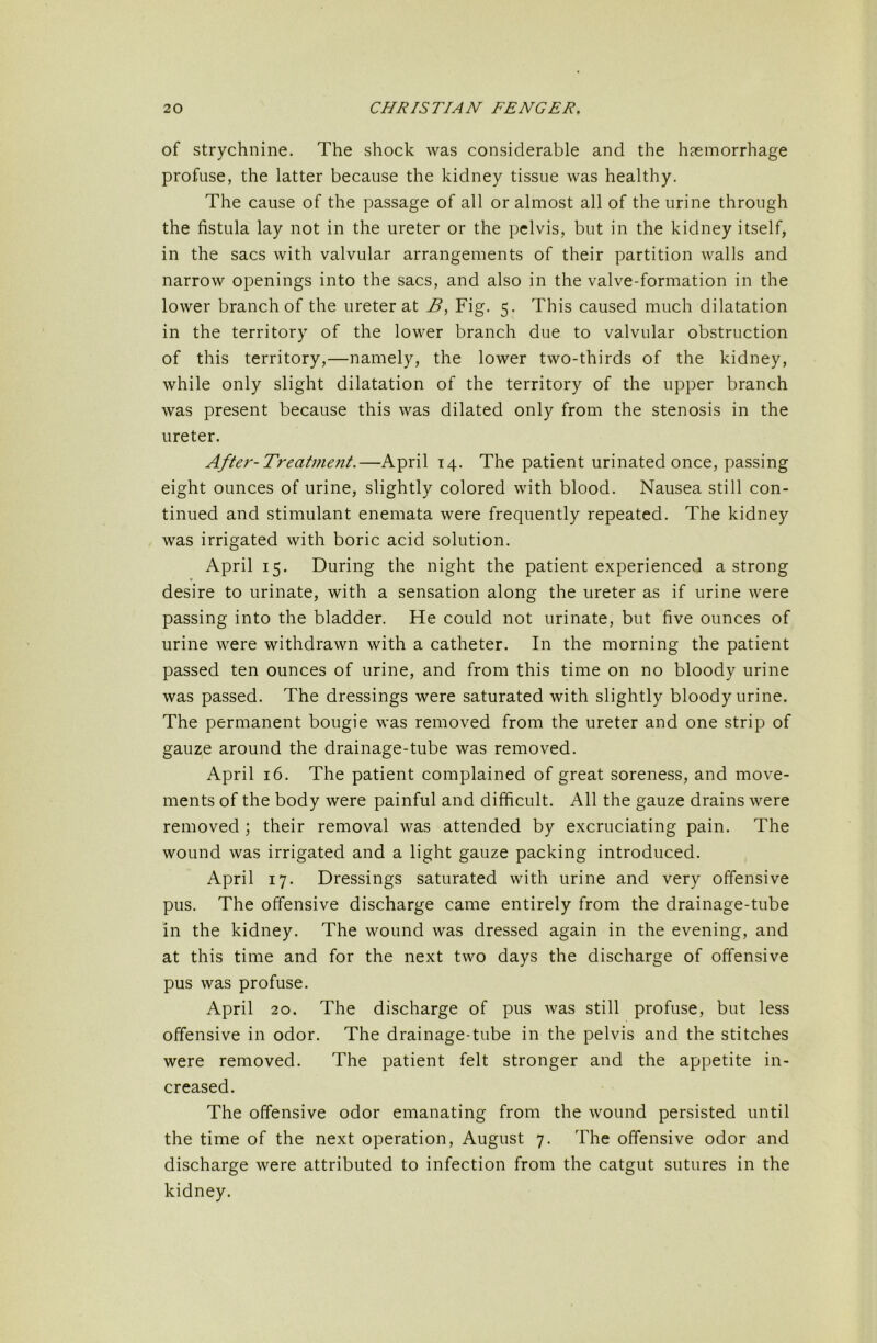 of strychnine. The shock was considerable and the haemorrhage profuse, the latter because the kidney tissue was healthy. The cause of the passage of all or almost all of the urine through the fistula lay not in the ureter or the pelvis, but in the kidney itself, in the sacs with valvular arrangements of their partition walls and narrow openings into the sacs, and also in the valve-formation in the lower branch of the ureter at Fig. 5. This caused much dilatation in the territory of the lower branch due to valvular obstruction of this territory,—namely, the lower two-thirds of the kidney, while only slight dilatation of the territory of the upper branch was present because this was dilated only from the stenosis in the ureter. After-Treatment.—April 14. The patient urinated once, passing eight ounces of urine, slightly colored with blood. Nausea still con- tinued and stimulant enemata were frequently repeated. The kidney was irrigated with boric acid solution. April 15. During the night the patient experienced a strong desire to urinate, with a sensation along the ureter as if urine were passing into the bladder. He could not urinate, but five ounces of urine were withdrawn with a catheter. In the morning the patient passed ten ounces of urine, and from this time on no bloody urine was passed. The dressings were saturated with slightly bloody urine. The permanent bougie was removed from the ureter and one strip of gauze around the drainage-tube was removed. April 16. The patient complained of great soreness, and move- ments of the body were painful and difficult. All the gauze drains were removed ; their removal was attended by excruciating pain. The wound was irrigated and a light gauze packing introduced. April 17. Dressings saturated with urine and very offensive pus. The offensive discharge came entirely from the drainage-tube in the kidney. The wound was dressed again in the evening, and at this time and for the next two days the discharge of offensive pus was profuse. April 20. The discharge of pus was still profuse, but less offensive in odor. The drainage-tube in the pelvis and the stitches were removed. The patient felt stronger and the appetite in- creased. The offensive odor emanating from the wound persisted until the time of the next operation, August 7. The offensive odor and discharge were attributed to infection from the catgut sutures in the kidney.
