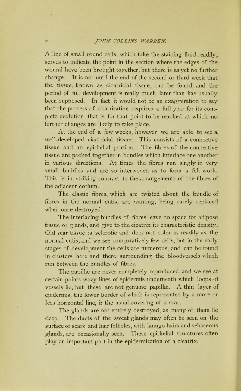 A line of small round cells, which take the staining fluid readily, serves to indicate the point in the section where the edges of the wound have been brought together, but there is as yet no further change. It is not until the end of the second or third week that the tissue, known as cicatricial tissue, can be found, and the period of full development is really much later than has usually been supposed. In fact, it would not be an exaggeration to say that the process of cicatrization requires a full year for its com- plete evolution, that is, for that point to be reached at which no further changes are likely to take place. At the end of a few weeks, however, we are able to see a well-developed cicatricial tissue. This consists of a connective tissue and an epithelial portion. The fibres of the connective tissue are packed together in bundles which interlace one another in various directions. At times the fibres run singly in very small bundles and are so interwoven as to form a felt work. This is in striking contrast to the arrangements of the fibres of the adjacent corium. The elastic fibres, which are twisted about the bundle of fibres in the normal cutis, are wanting, being rarely replaced when once destroyed. The interlacing bundles of fibres leave no space for adipose tissue or glands, and give to the cicatrix its characteristic density. Old scar tissue is sclerotic and does not color as readily as the normal cutis, and we see comparatively few cells, but in the early stages of development the cells are numerous, and can be found in clusters here and there, surrounding the bloodvessels which run between the bundles of fibres. The papillae are never completely reproduced, and we see at certain points wavy lines of epidermis underneath which loops of vessels lie, but these are not genuine papillae. A thin layer of epidermis, the lower border of which is represented by a more or less horizontal line, is the usual covering of a scar. The glands are not entirely destroyed, as many of them lie deep. The ducts of the sweat glands may often be seen on the surface of scars, and hair follicles, with lanugo hairs and sebaceous glands, are occasionally seen. These epithelial structures often play an important part in the epidermization of a cicatrix.