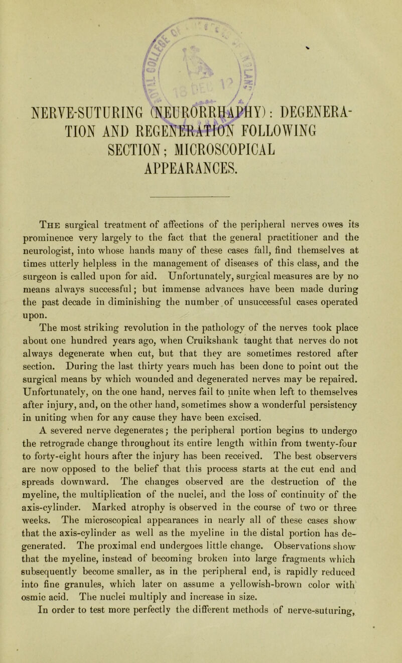 TION AND REGENERATION FOLLOWING SECTION; MICROSCOPICAL APPEARANCES. The surgical treatment of affections of the peripheral nerves owes its prominence very largely to the fact that the general practitioner and the neurologist, into whose hands many of these cases fall, find themselves at times utterly helpless in the management of diseases of this class, and the surgeon is called upon for aid. Unfortunately, surgical measures are by no means always successful; but immense advances have been made during the past decade in diminishing the number of unsuccessful cases operated upon. The most striking revolution in the pathology of the nerves took place about one hundred years ago, when Cruikshank taught that nerves do not always degenerate when cut, but that they are sometimes restored after section. During the last thirty years much has been done to point out the surgical means by which wounded and degenerated nerves may be repaired. Unfortunately, on the one hand, nerves fail to unite when left to themselves after injury, and, on the other hand, sometimes show a wonderful persistency in uniting when for any cause they have been excised. A severed nerve degenerates; the peripheral portion begins to undergo the retrograde change throughout its entire length within from twenty-four to forty-eight hours after the injury has been received. The best observers are now opposed to the belief that this process starts at the cut end and spreads downward. The changes observed are the destruction of the myeline, the multiplication of the nuclei, and the loss of continuity of the axis-cylinder. Marked atrophy is observed in the course of two or three: weeks. The microscopical appearances in nearly all of these cases show' that the axis-cylinder as well as the myeline in the distal portion has de- generated. The proximal end undergoes little change. Observations show that the myeline, instead of becoming broken into large fragments which subsequently become smaller, as in the peripheral end, is rapidly reduced into fine granules, which later on assume a yellowish-brown color with osmic acid. The nuclei multiply and increase in size. In order to test more perfectly the different methods of nerve-suturing,