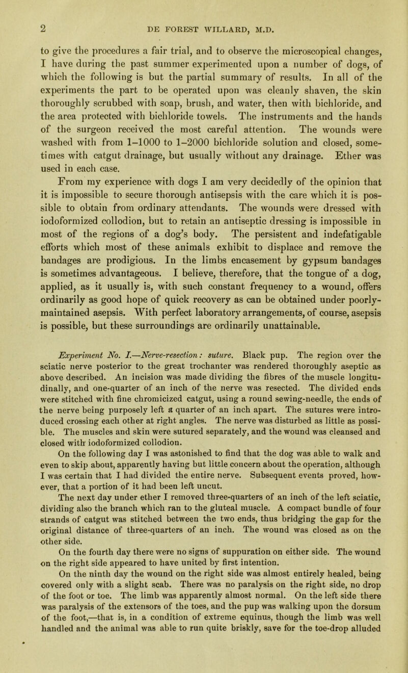 to give the procedures a fair trial, and to observe the microscopical changes, I have during the past summer experimented upon a number of dogs, of which the following is but the partial summary of results. In all of the experiments the part to be operated upon was cleanly shaven, the skin thoroughly scrubbed with soap, brush, and water, then with bichloride, and the area protected with bichloride towels. The instruments and the hands of the surgeon received the most careful attention. The wounds were washed with from 1-1000 to 1-2000 bichloride solution and closed, some- times with catgut drainage, but usually without any drainage. Ether was used in each case. From my experience with dogs I am very decidedly of the opinion that it is impossible to secure thorough antisepsis with the care which it is pos- sible to obtain from ordinary attendants. The wounds were dressed with iodoformized collodion, but to retain an antiseptic dressing is impossible in most of the regions of a dog’s body. The persistent and indefatigable efforts which most of these animals exhibit to displace and remove the bandages are prodigious. In the limbs encasement by gypsum bandages is sometimes advantageous. I believe, therefore, that the tongue of a dog, applied, as it usually is, with such constant frequency to a wound, offers ordinarily as good hope of quick recovery as can be obtained under poorly- maintained asepsis. With perfect laboratory arrangements, of course, asepsis is possible, but these surroundings are ordinarily unattainable. Experiment No. I.—Nerve-resection: suture. Black pup. The region over the sciatic nerve posterior to the great trochanter was rendered thoroughly aseptic as above described. An incision was made dividing the fibres of the muscle longitu- dinally, and one-quarter of an inch of the nerve was resected. The divided ends were stitched with fine chromicized catgut, using a round sewing-needle, the ends of the nerve being purposely left a quarter of an inch apart. The sutures were intro- duced crossing each other at right angles. The nerve was disturbed as little as possi- ble. The muscles and skin were sutured separately, and the wound was cleansed and closed with iodoformized collodion. On the following day I was astonished to find that the dog was able to walk and even to skip about, apparently having but little concern about the operation, although I was certain that I had divided the entire nerve. Subsequent events proved, how- ever, that a portion of it had been left uncut. The next day under ether I removed three-quarters of an inch of the left sciatic, dividing also the branch which ran to the gluteal muscle. A compact bundle of four strands of catgut was stitched between the two ends, thus bridging the gap for the original distance of three-quarters of an inch. The wound was closed as on the other side. On the fourth day there were no signs of suppuration on either side. The wound on the right side appeared to have united by first intention. On the ninth day the wound on the right side was almost entirely healed, being covered only with a slight scab. There was no paralysis on the right side, no drop of the foot or toe. The limb was apparently almost normal. On the left side there was paralysis of the extensors of the toes, and the pup was walking upon the dorsum of the foot,—that is, in a condition of extreme equinus, though the limb was well handled and the animal was able to run quite briskly, save for the toe-drop alluded