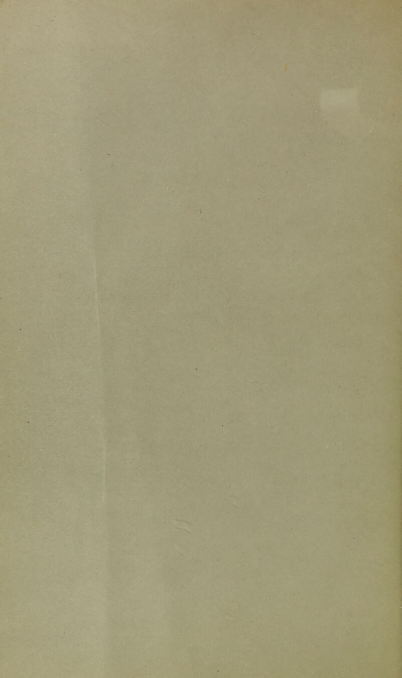 • yv .f i ^<3 «4 A • s