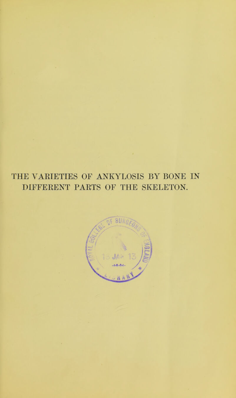 DIFFERENT PARTS OF THE SKELETON. / J ,