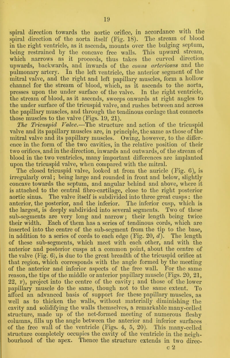 spiral direction towards the aortic orifice, in accordance with the spiral direction of the aorta itself (Fig. 18). The stream of blood in the right ventricle, as it ascends, mounts over the bulging septum, being restrained by the concave free walls. This upward stream, which narrows as it proceeds, thus takes the curved direction upwards, backwards, and inwards of the conus arteriosus and the pulmonary artery. In the left ventricle, the anterior segment of the mitral valve, and the right and left papillary muscles, form a hollow channel for the stream of blood, which, as it ascends to the aorta, presses upon the under surface of the valve. In the right ventricle, the stream of blood, as it ascends, sweeps onwards at right angles to the under surface of the tricuspid valve, and rushes between and across the papillary muscles, and through the tendinous cordage that connects those muscles to the valve (Figs. 19, 21). The Tricuspid Valve.—The structure and action of the tricuspid valve and its papillary muscles are, in principle, the same as those of the mitral valve and its papillary muscles. Owing, however, to the differ- ence in the form of the two cavities, in the relative position of their two orifices, and in the direction, inwards and outwards, of the stream of blood in the two ventricles, many important differences are implanted upon the tricuspid valve, when compared with the mitral. The closed tricuspid valve, looked at from the auricle (Fig. 6), is irregularly oval; being large and rounded in front and below, slightly concave towards the septum, and angular behind and above, where it is attached to the central fibro-cartilage, close to the right posterior aortic sinus. The valve itself is subdivided into three great cusps : the anterior, the posterior, and the inferior. The inferior cusp, which is the largest, is deeply subdivided into several segments. Two of these sub-segments are very long and narrow; their length being twice their width. Each of them has a series of tendinous cords, which are inserted into the centre of the sub-segment from the tip to the base, in addition to a series of cords to each edge (Fig. 20, d). The length of these sub-segments, which meet with each other, and with the anterior and posterior cusps at a common point, about the centre of the valve (Fig. 6), is due to the great breadth of the tricuspid orifice at that region, which corresponds with the angle formed by the meeting of the anterior and inferior aspects of the free wall. For the same reason, the tips of the middle or anterior papillary muscle (Figs. 20, 21, 22, f), project into the centre of the cavity; and those of the lower papillary muscle do the same, though not to the same extent. To afford an advanced basis of support for these papillary muscles, as well as to thicken the walls, without materially diminishing the cavity and solidifying the walls themselves, a remarkable many-celled structure, made up of the net-formed meeting of numerous fleshy columns, fills up the angle between the anterior and inferior surfaces of the free wall of the ventricle (Figs. 4, 5, 20). This many-celled structure completely occupies the cavity of the ventricle in the neigh- bourhood of the apex. Thence the structure extends in two direc- c 2