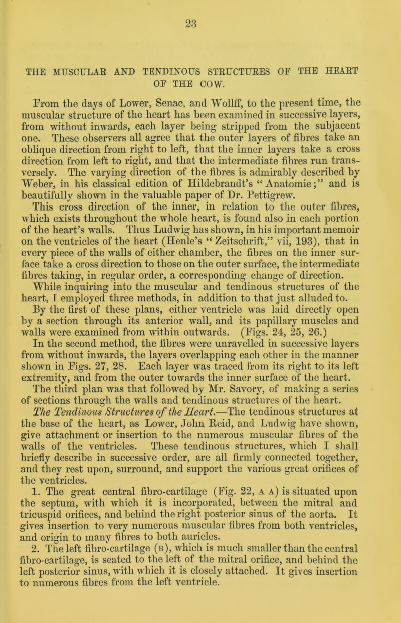 THE MUSCULAR AND TENDINOUS STRUCTURES OF THE HEART OF THE COW. Prom the days of Lower, Senac, and WollfF, to the present time, the muscular structure of the heart has been examined in successive layers, from without inwards, each layer being stripped from the subjacent one. These observers all agree that the outer layers of fibres take an oblique direction from right to left, that the inner layers take a cross direction from left to right, and that the intermediate fibres run trans- versely. The varying direction of the fibres is admirably described by Weber, in his classical edition of Hildebrandt’s “Anatomie;” and is beautifully shown in the valuable paper of Dr. Pettigrew. This cross direction of the inner, in relation to the outer fibres, which exists throughout the whole heart, is found also in each portion of the heart’s walls. Thus Ludwig has shown, in his important memoir on the ventricles of the heart (Henle’s “ Zeitschrift,” vii, 193), that in every piece of the walls of either chamber, the fibres on the inner sur- face take a cross direction to those on the outer surface, the intermediate fibres taking, in regular order, a corresponding change of direction. While inquiring into the muscular and tendinous structures of the heart, I employed three methods, in addition to that just alluded to. By the first of these plans, either ventricle was laid directly open by a section through its anterior wall, and its papillary muscles and walls were examined from within outwards. (Pigs. 24, 25, 26.) In the second method, the fibres were unravelled in successive layers from without inwards, the layers overlapping each other in the manner shown in Pigs. 27, 28. Each layer was traced from its right to its left extremity, and from the outer towards the inner surface of the heart. The third plan was that followed by Mr. Savory, of making a series of sections through the walls and tendinous structures of the heart. The Tendinous Structures of the Heart.—The tendinous structures at the base of the heart, as Lower, John Beid, and Ludwig have shown, give attachment or insertion to the numerous muscular fibres of the walls of the ventricles. These tendinous structures, which I shall briefly describe in successive order, are all firmly connected together, and they rest upon, surround, and support the various great orifices of the ventricles. 1. The great central fibro-cartilage (Fig. 22, a a) is situated upon the septum, with which it is incorporated, between the mitral and tricuspid orifices, and behind the right posterior sinus of the aorta. It gives insertion to very numerous muscular fibres from both ventricles, and origin to many fibres to both auricles. 2. The left fibro-cartilage (b), which is much smaller than the central fibro-cartilage, is seated to the left of the mitral orifice, and behind the left posterior sinus, with which it is closely attached. It gives insertion to numerous fibres from the left ventricle.