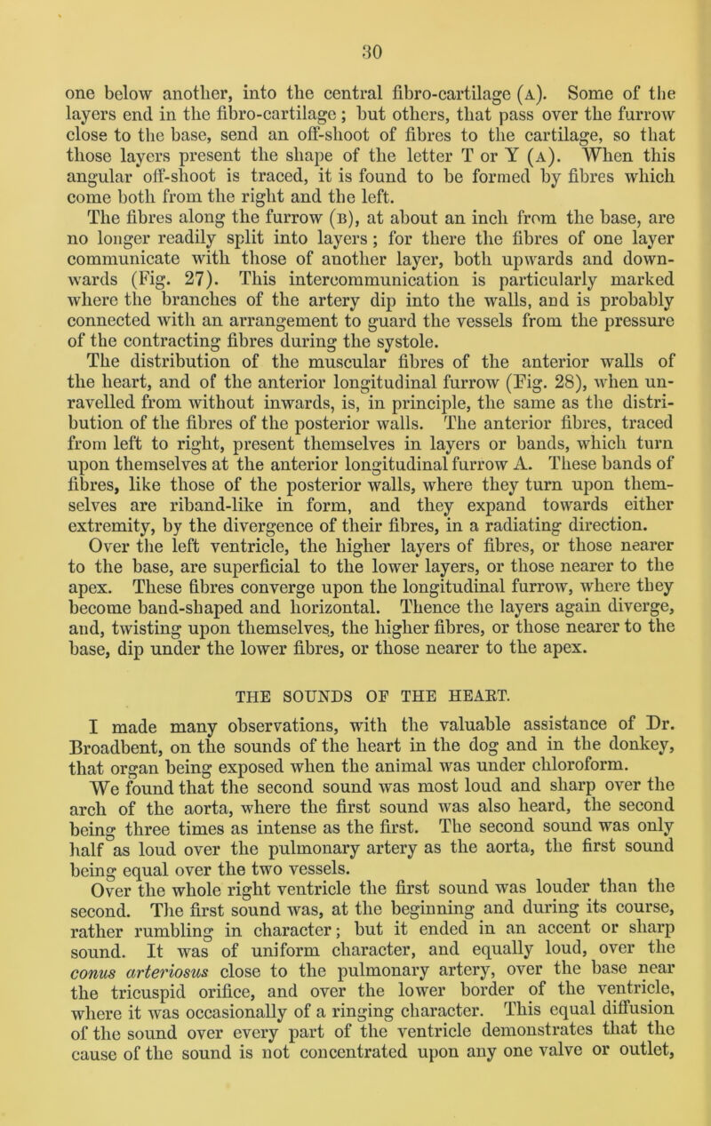one below another, into the central fibro-cartilage (a). Some of the layers end in the fibro-cartilage ; hut others, that pass over the furrow close to the base, send an off-slioot of fibres to the cartilage, so that those layers present the shape of the letter T or Y (a). When this angular off-shoot is traced, it is found to he formed by fibres which come both from the right and the left. The fibres along the furrow (b), at about an inch from the base, are no longer readily split into layers; for there the fibres of one layer communicate with those of another layer, both upwards and down- wards (Fig. 27). This intercommunication is particularly marked where the branches of the artery dip into the walls, and is probably connected with an arrangement to guard the vessels from the pressure of the contracting fibres during the systole. The distribution of the muscular fibres of the anterior walls of the heart, and of the anterior longitudinal furrow (Pig. 28), when un- ravelled from without inwards, is, in principle, the same as the distri- bution of the fibres of the posterior walls. The anterior fibres, traced from left to right, present themselves in layers or bands, which turn upon themselves at the anterior longitudinal furrow A. These bands of fibres, like those of the posterior walls, where they turn upon them- selves are riband-like in form, and they expand towards either extremity, by the divergence of their fibres, in a radiating direction. Over the left ventricle, the higher layers of fibres, or those nearer to the base, are superficial to the lower layers, or those nearer to the apex. These fibres converge upon the longitudinal furrow, where they become band-shaped and horizontal. Thence the layers again diverge, and, twisting upon themselves, the higher fibres, or those nearer to the base, dip under the lower fibres, or those nearer to the apex. THE SOUNDS OF THE HEAET. I made many observations, with the valuable assistance of Dr. Broadbent, on the sounds of the heart in the dog and in the donkey, that organ being exposed when the animal was under chloroform. We found that the second sound was most loud and sharp over the arch of the aorta, where the first sound was also heard, the second being three times as intense as the first. The second sound was only half°as loud over the pulmonary artery as the aorta, the first sound being equal over the two vessels. Over the whole right ventricle the first sound was louder than the second. The first sound was, at the beginning and during its course, rather rumbling in character; hut it ended in an accent or sharp sound. It was of uniform character, and equally loud, over the conus arteriosus close to the pulmonary artery, over the base near the tricuspid orifice, and over the lower border of the ventricle, where it was occasionally of a ringing character. This equal diffusion of the sound over every part of the ventricle demonstrates that the cause of the sound is not concentrated upon any one valve or outlet,
