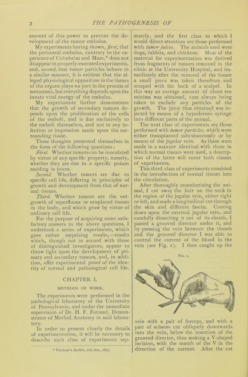 amount of this power to prevent the de- velopment of the tumor embolus. My experiments having shown, first, that the periosteal embolus, contrary to the ex- perience of Cohnheim and Maas,* does not disappear in properly-executed experiments, and, second, that tumor particles behave in a similar manner, it is evident that the al- leged physiological opposition in the tissues of the organs plays no part in the process of metastasis, but everything depends upon the innate vital energy of the embolus. My experiments further demonstrate that the growth of secondary tumors de- pends upon the proliferation of the cells of the emboli, and is due exclusively to the emboli themselves, and not to any in- fection or impression made upon the sur- rounding tissue. These thoughts presented themselves in the form of the following questions : First. Whether tumors can be inoculated by virtue of any specific property, namely, whether they are due to a specific poison residing in juices. Second. Whether tumors are due to specific cell life, differing in principles of growth and development from that of nor- mal tissues. Third. Whether tumors are the out- growth of superfluous or misplaced tissues in the body, and which grow by virtue of ordinary cell life. For the purpose of acquiring some satis- factory answers to the above questions, I undertook a series of experiments, which gave rather surprising results,—results which, though not in accord with those of distinguished investigators, appear to throw light upon the development of pri- mary and secondary tumors, and, in addi- tion, offer experimental proof of the iden- tity of normal and pathological cell life. CHAPTER I. METHODS OF WORK. The experiments were performed in the pathological laboratory of the University of Pennsylvania, and under the immediate supervision of Dr. H. F. Formad, Demon- strator of Morbid Anatomy in said labora- tory. In order to present clearly the details of experimentation, it will be necessary to describe each class of experiments sep- * Virchow’s Archiv, vol. lxx., 1877. arately, and the first class to which I would direct attention are those performed with tumor juices. The animals used were dogs, rabbits, and chickens. Most of the material for experimentation was derived from fragments of tumors removed in the clinic at the University Hospital, and im- mediately after the removal of the tumor a small piece was taken therefrom and scraped with the back of a scalpel. In this way an average amount of about ten minims was obtained, care always being taken to exclude any particles of the growth. The juice thus obtained was in- jected by means of a hypodermic syringe into different parts of the animal. The next class of experiments are those performed with tumor particles, which were either transplanted subcutaneously or by means of the jugular vein. As these were made in a manner identical with those in which normal tissues were used, a descrip- tion of the latter will cover both classes of experiments. This third class of experiments consisted in the introduction of normal tissues into the circulation. After thoroughly anaesthetizing the ani- mal, I cut away the hair on the neck in the region of the jugular vein, either right or left, and made a longitudinal cut through the skin and different fasciae. Coming down upon the external jugular vein, and carefully dissecting it out of its sheath, I passed a grooved director under it, and by pressing the vein between the thumb and the grooved director I was able to control the current of the blood in the vein (see Fig. i). I then caught up the Fig. 1. vein with a pair of forceps, and with a pair of scissors cut obliquely downwards into the vein, below the insertion of the grooved director, thus making a V-shaped incision, with the mouth of the V in the direction of the current. After the cut